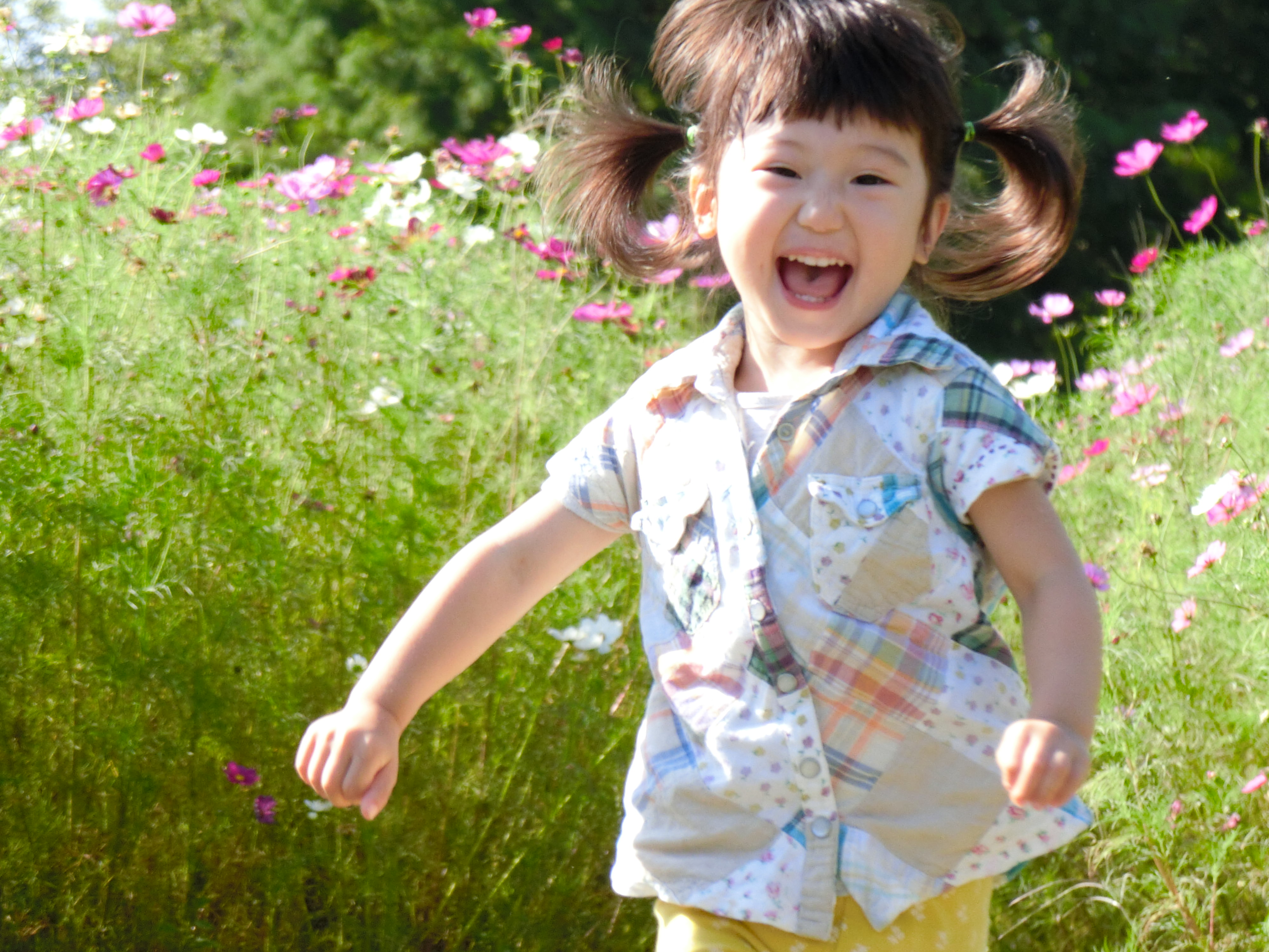 こちらに向かって走り出した娘を連写したうちの1枚です。<br class="">EXILIM EX-ZR3000／1/500秒／F6.3／0EV／ISO400／300mm相当（35mm相当判換算）