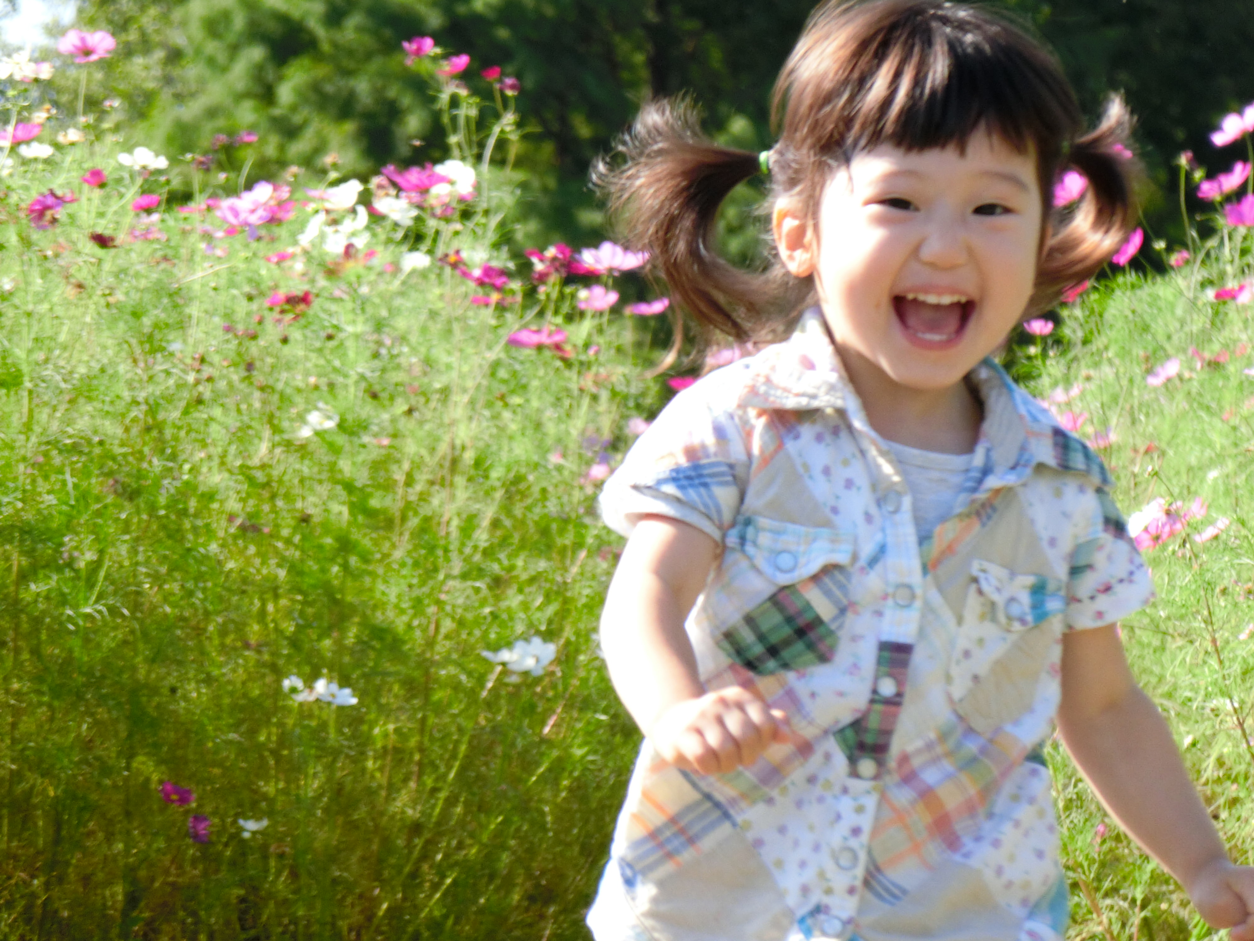 連写中の別のカット