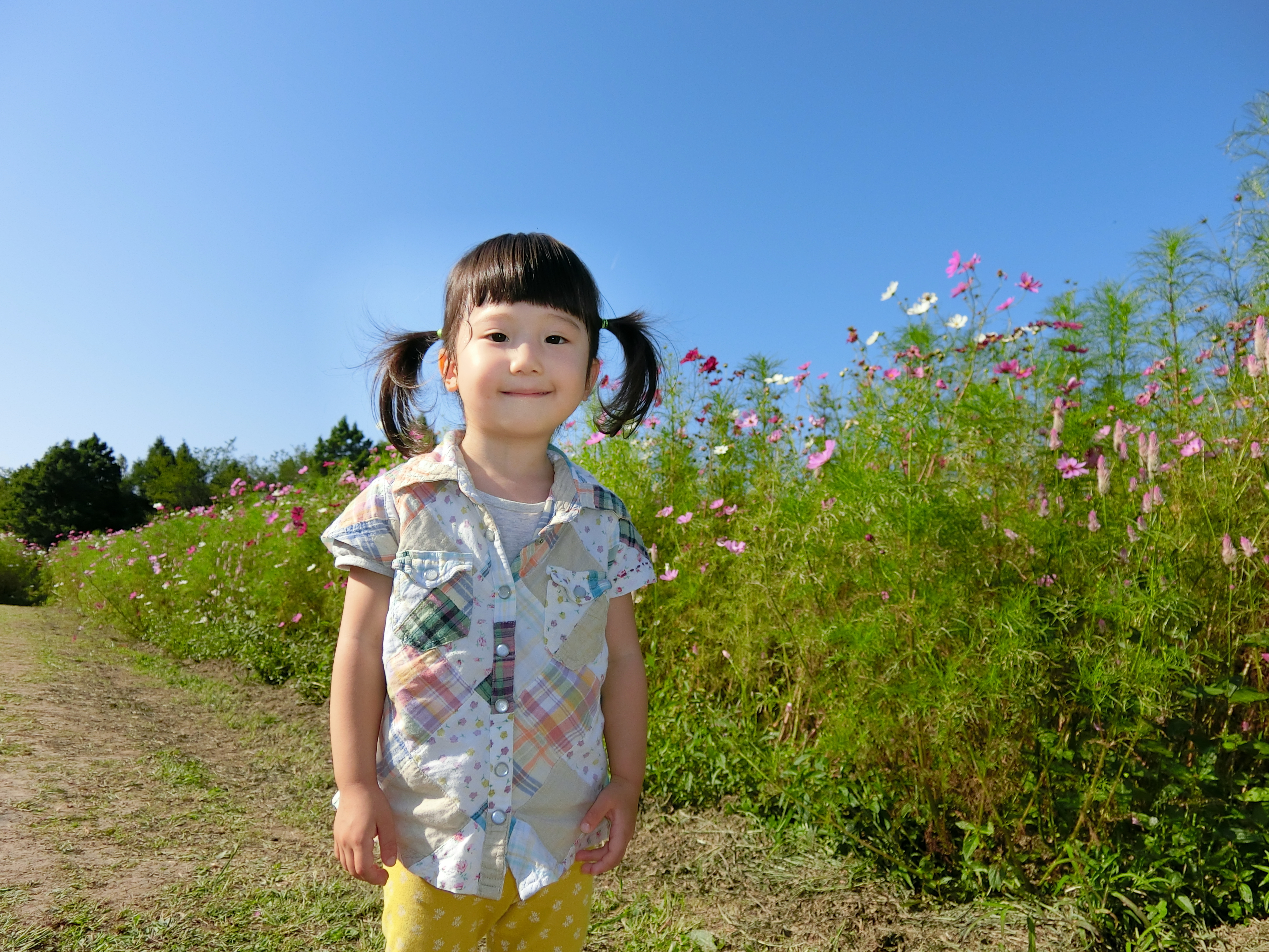 逆光でしたが、ベストショット機能「子ども」を使うと顔認識が作動。顔が明るく写りました。<br class="">EXILIM EX-ZR3000／1/250秒／F7.9／0EV／ISO125／25mm相当（35mm相当判換算）