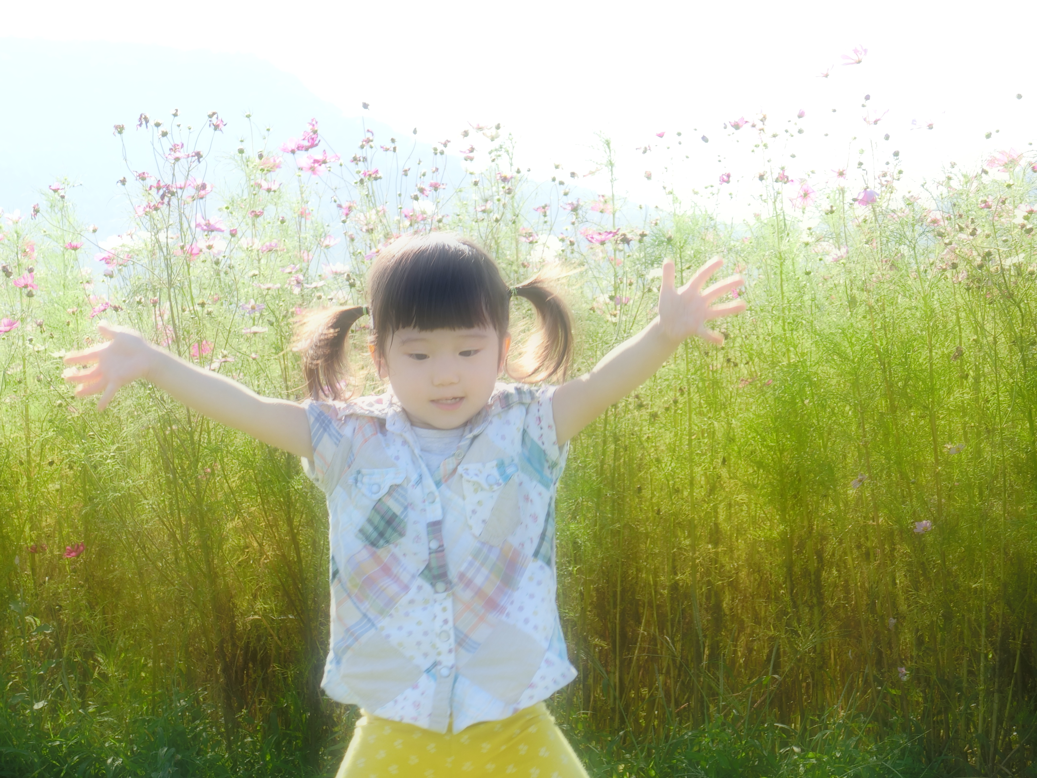 ソフトフォーカス。<br class="">EXILIM EX-ZR3000／1/160秒／F4.6／0EV／ISO80／124mm相当（35mm相当判換算）