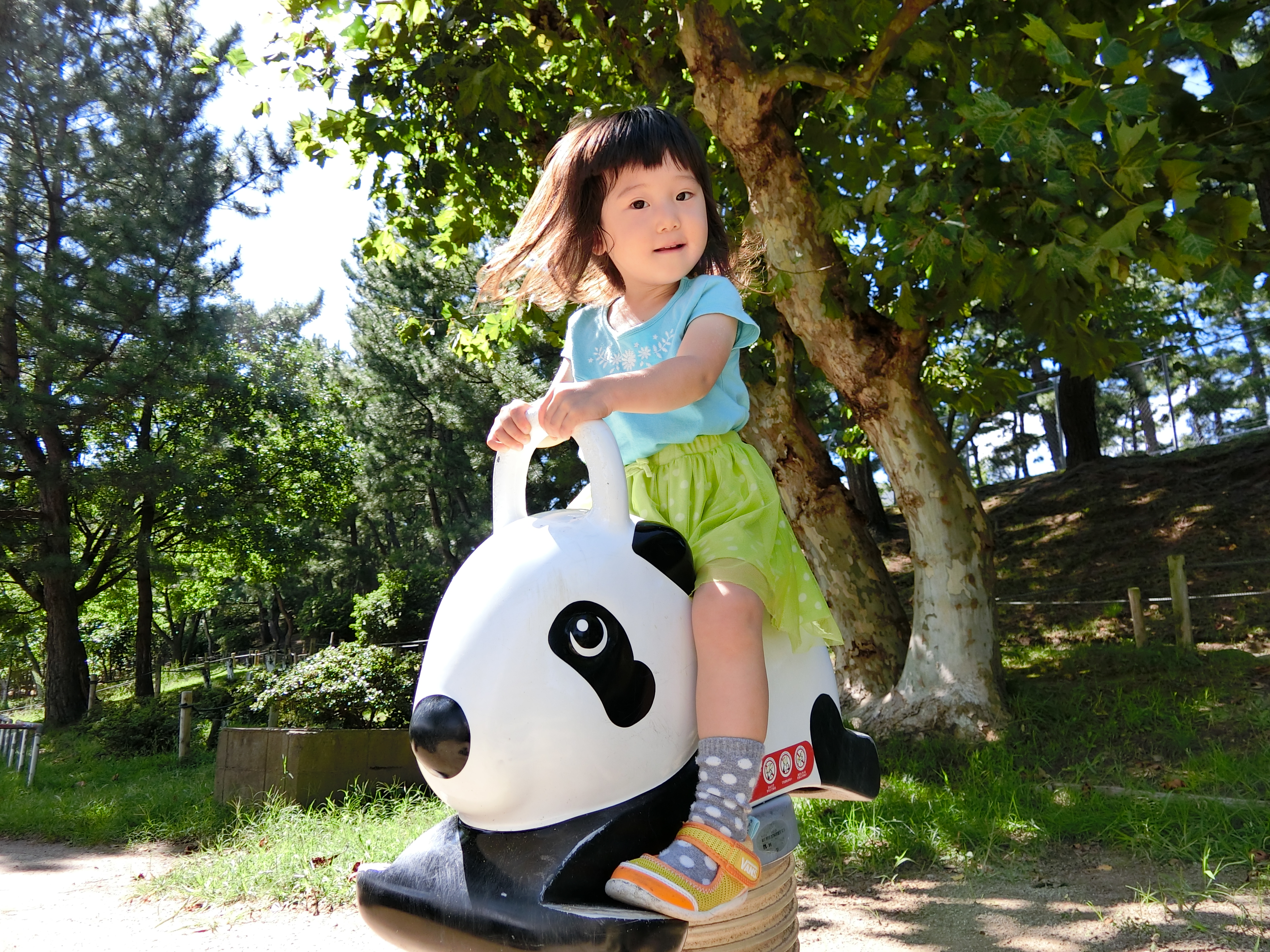 EXILIM EX-ZR3000／1/320秒／F2.8／0EV／ISO80／25mm相当（35mm相当判換算）