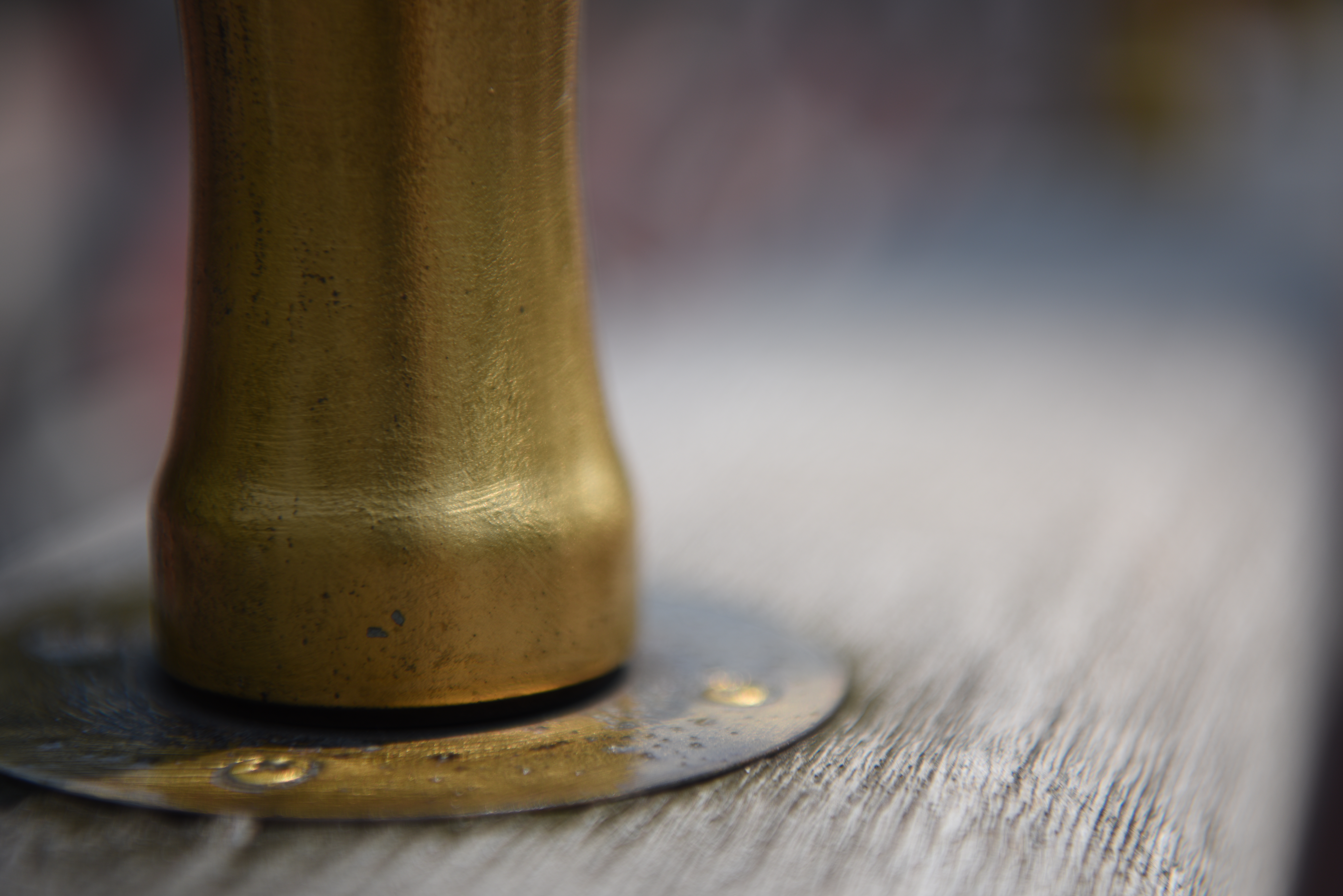 絞り開放・最短撮影距離（約38cm）で撮影。D810 / 1/1,250秒 / F2.8 / +0.3EV / ISO64 / 絞り優先AE / 70mm