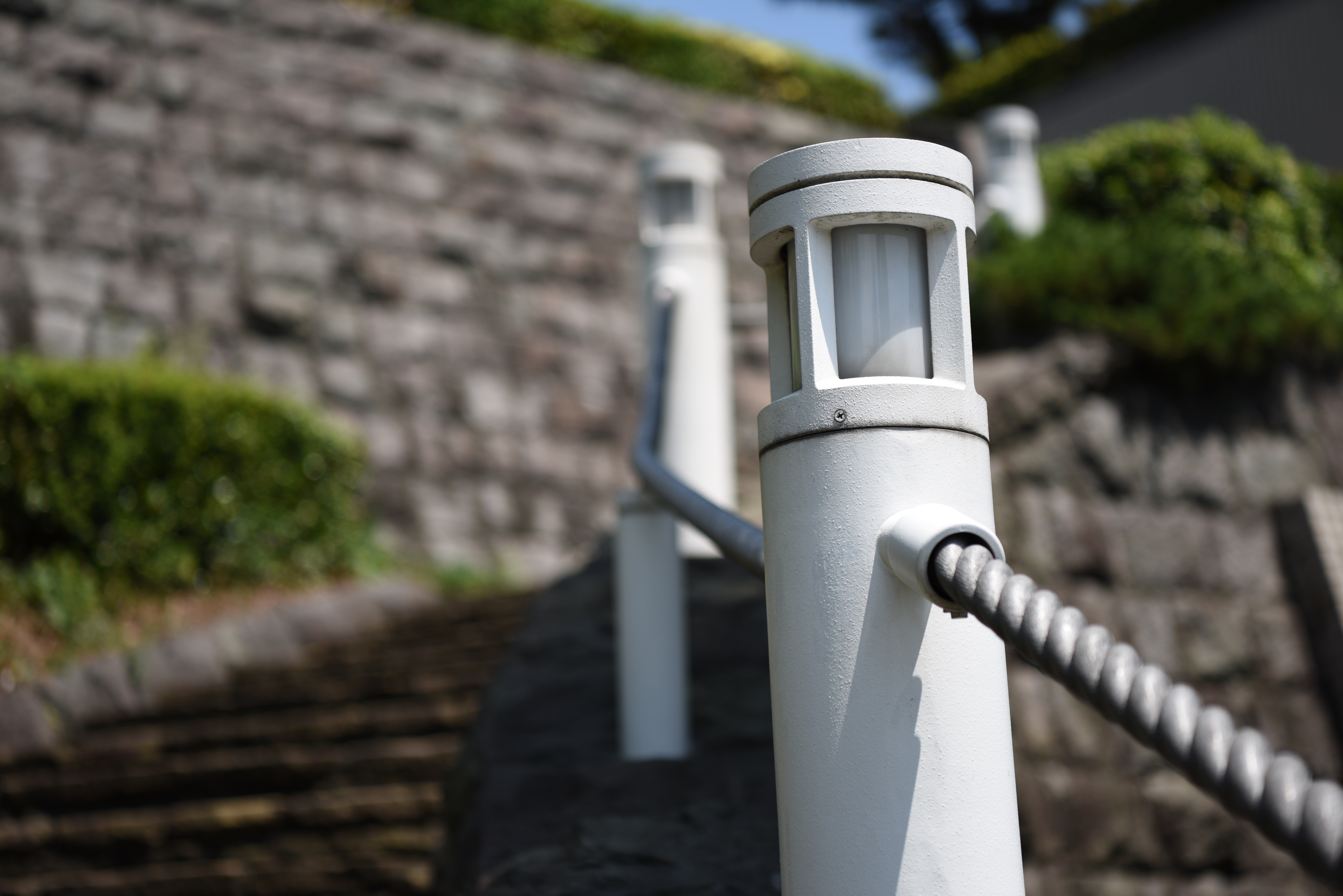 絞り開放・距離数mで撮影。D810 / 1/1,000秒 / F2.8 / +0.3EV / ISO64 / 絞り優先AE / 70mm