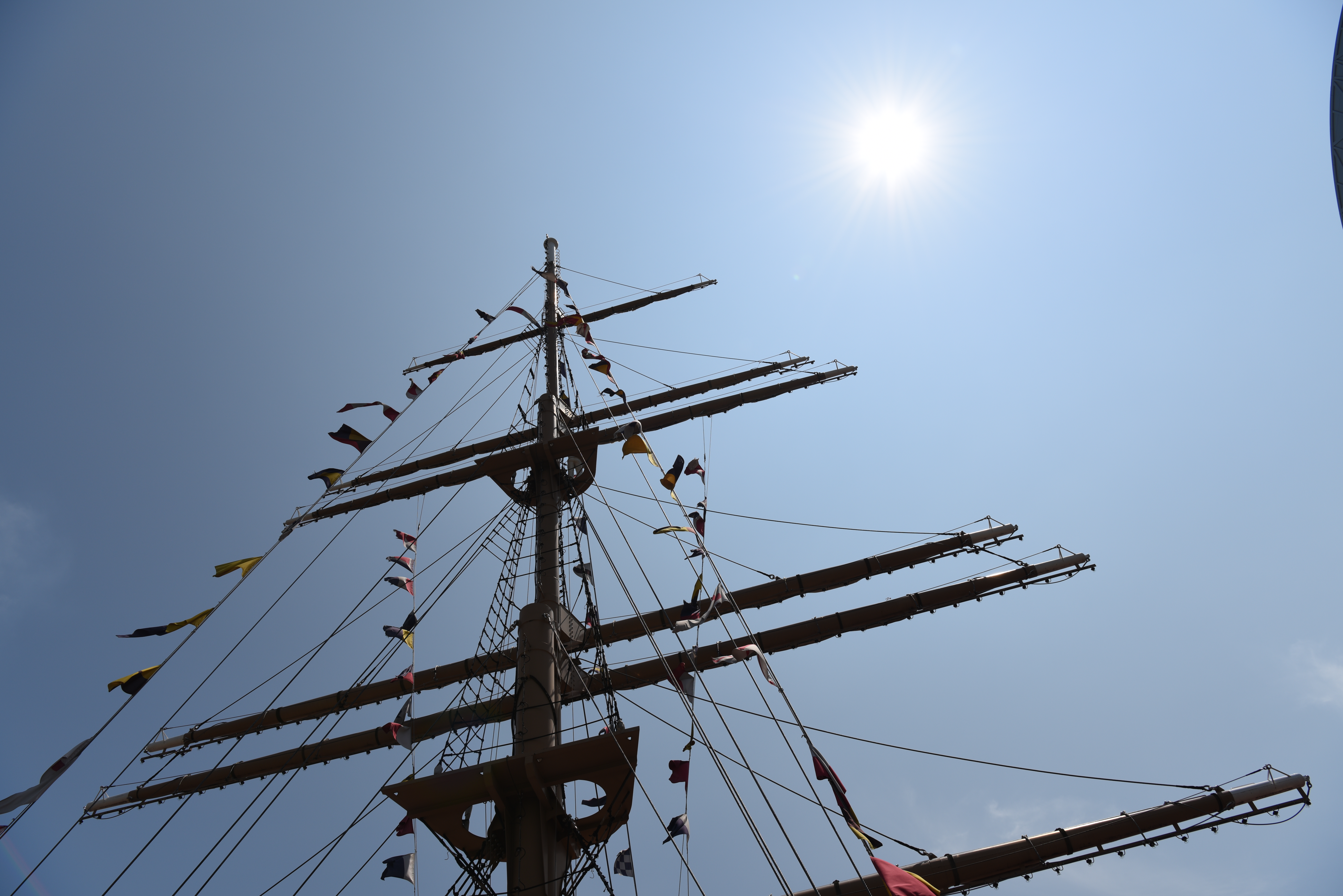 太陽が画面内に入る逆光で撮影。D810 / 1/640秒 / F8 / 0EV / ISO64 / 絞り優先AE / 24mm