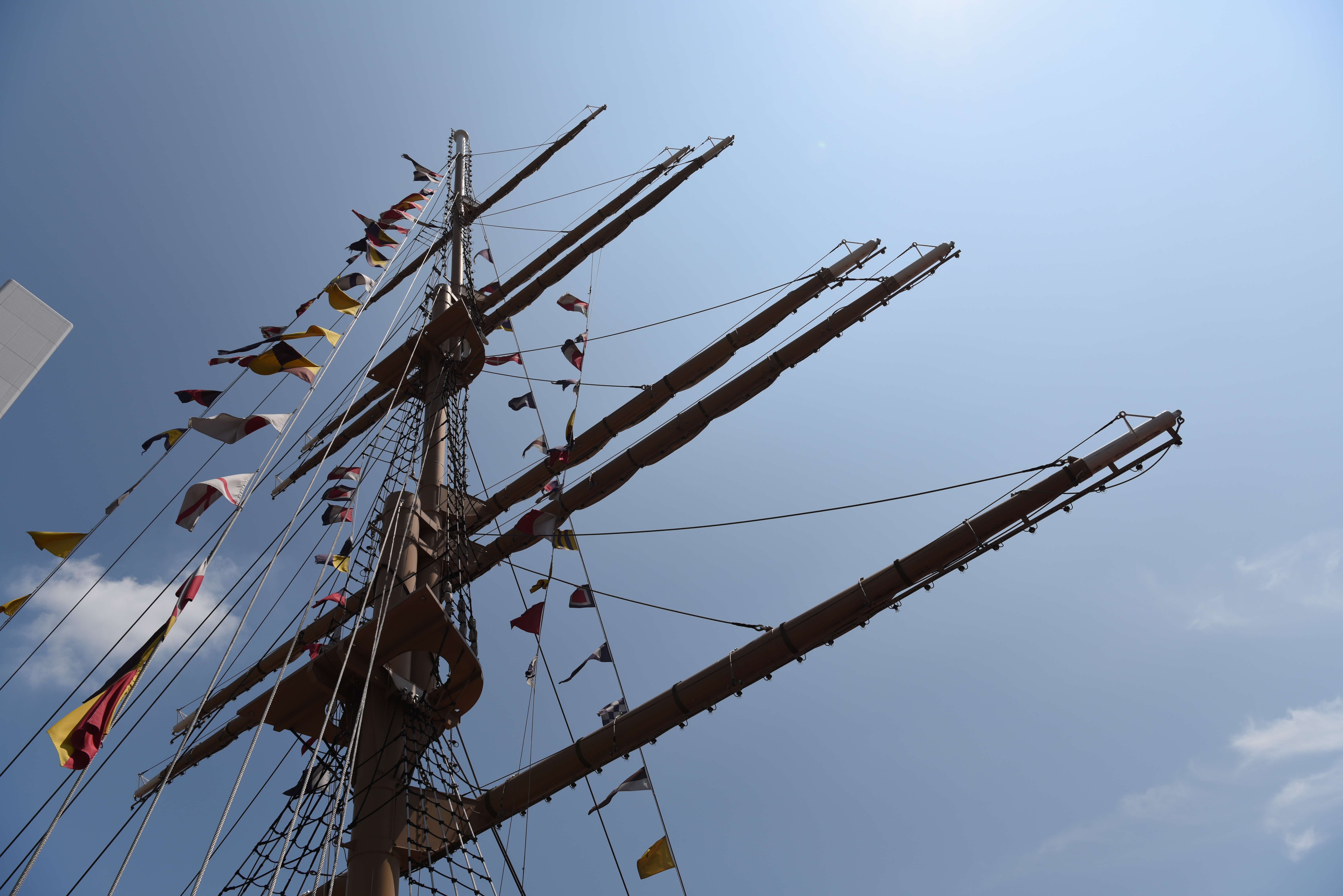 太陽が画面外にある逆光で撮影。D810 / 1/500秒 / F8 / 0EV / ISO64 / 絞り優先AE / 24mm