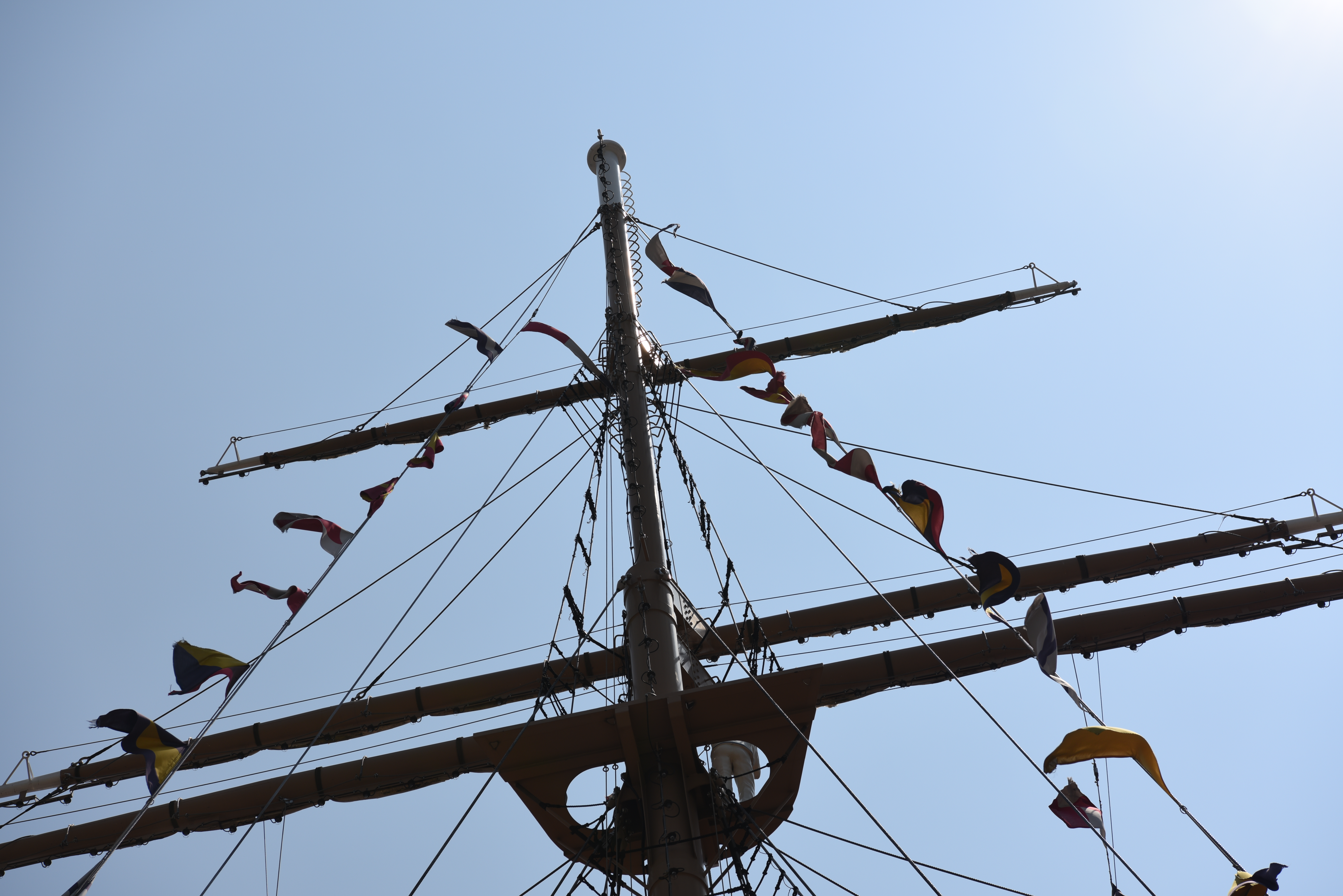 太陽が画面外にある逆光で撮影。D810 / 1/500秒 / F8 / 0EV / ISO64 / 絞り優先AE / 70mm