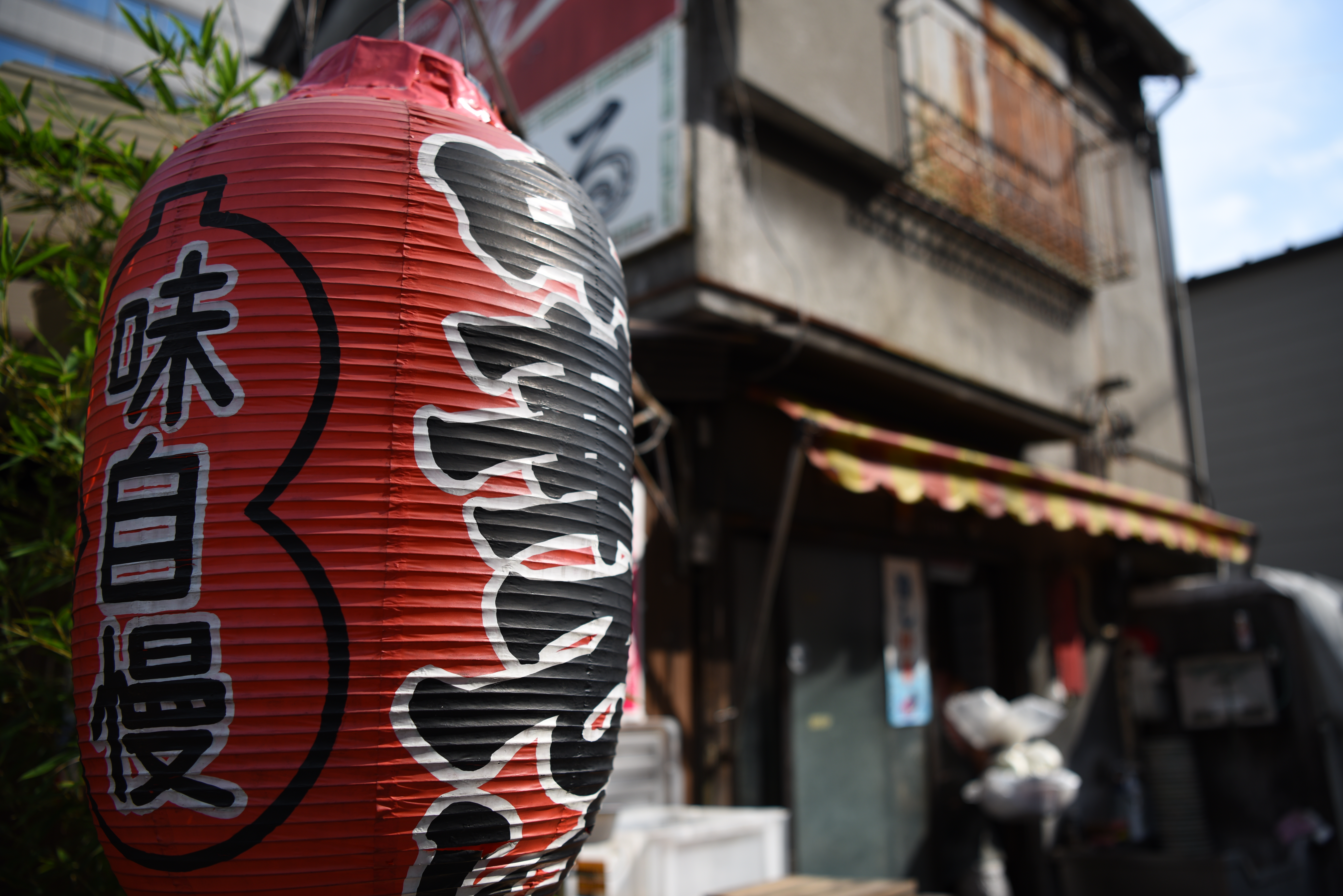 D810 / 1/1,000秒 / F2.8 / -0.3EV / ISO64 / 絞り優先AE / 30mm