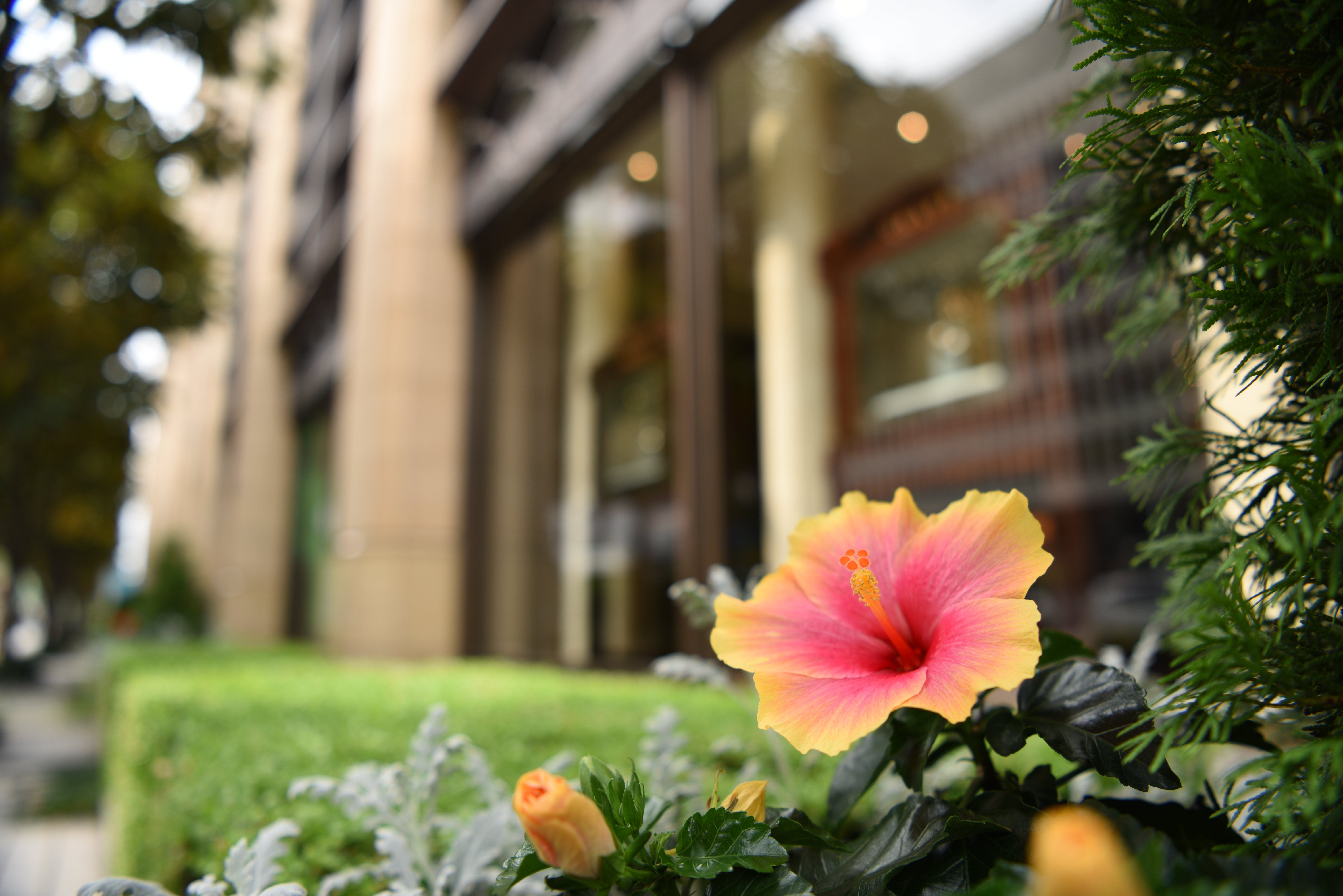 D810 / 1/125秒 / F2.8 / +0.7EV / ISO64 / 絞り優先AE / 24mm