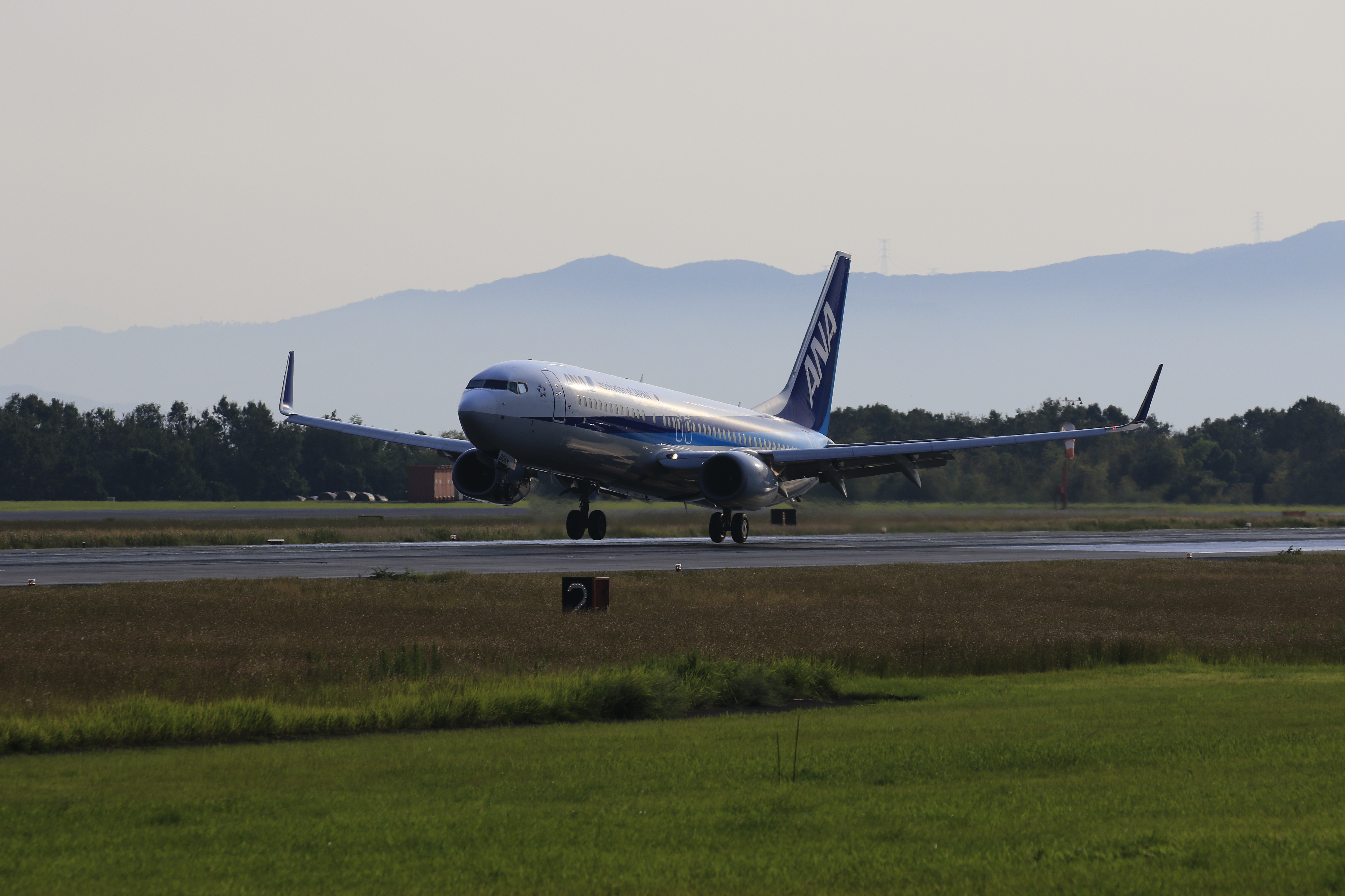 着陸時を連続撮影で狙う。すると……<br>キヤノン EOS 7D Mark II / EF100-400mm F4.5-5.6L IS II USM / 255mm（408mm相当） / 絞り優先AE（F6.3、1/800秒、-0.7EV）/ ISO 200