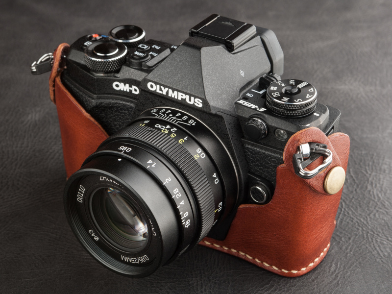 やわらかい革を使っているが、フィット感は上々だ。ノンステッチの処理がかっこいい