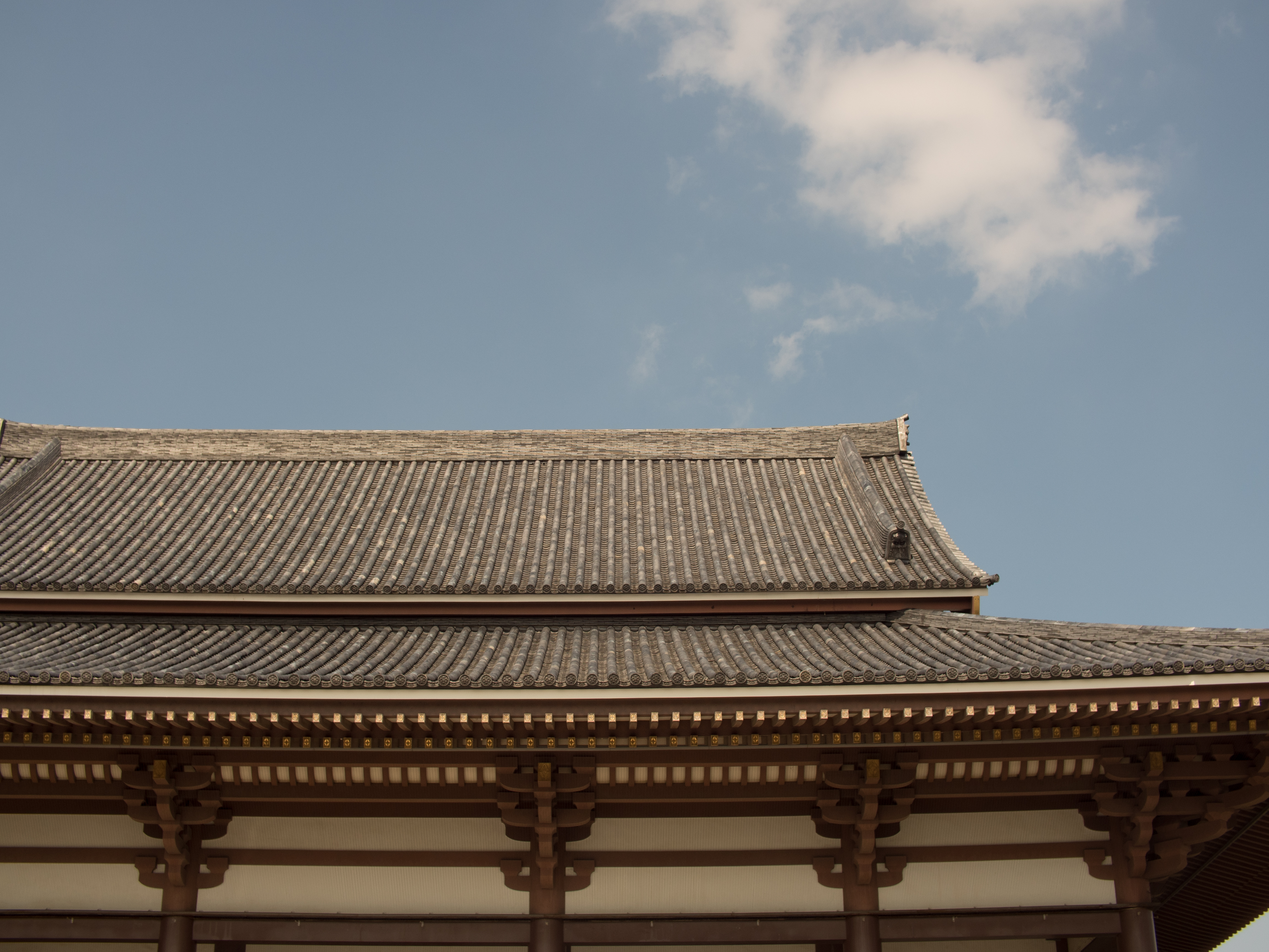 OM-D E-M5 Mark II / Speedmaster 25mm F0.95 / 1/1,250秒 / F5.6 / ±0EV / ISO200 / WB:オート / 25mm