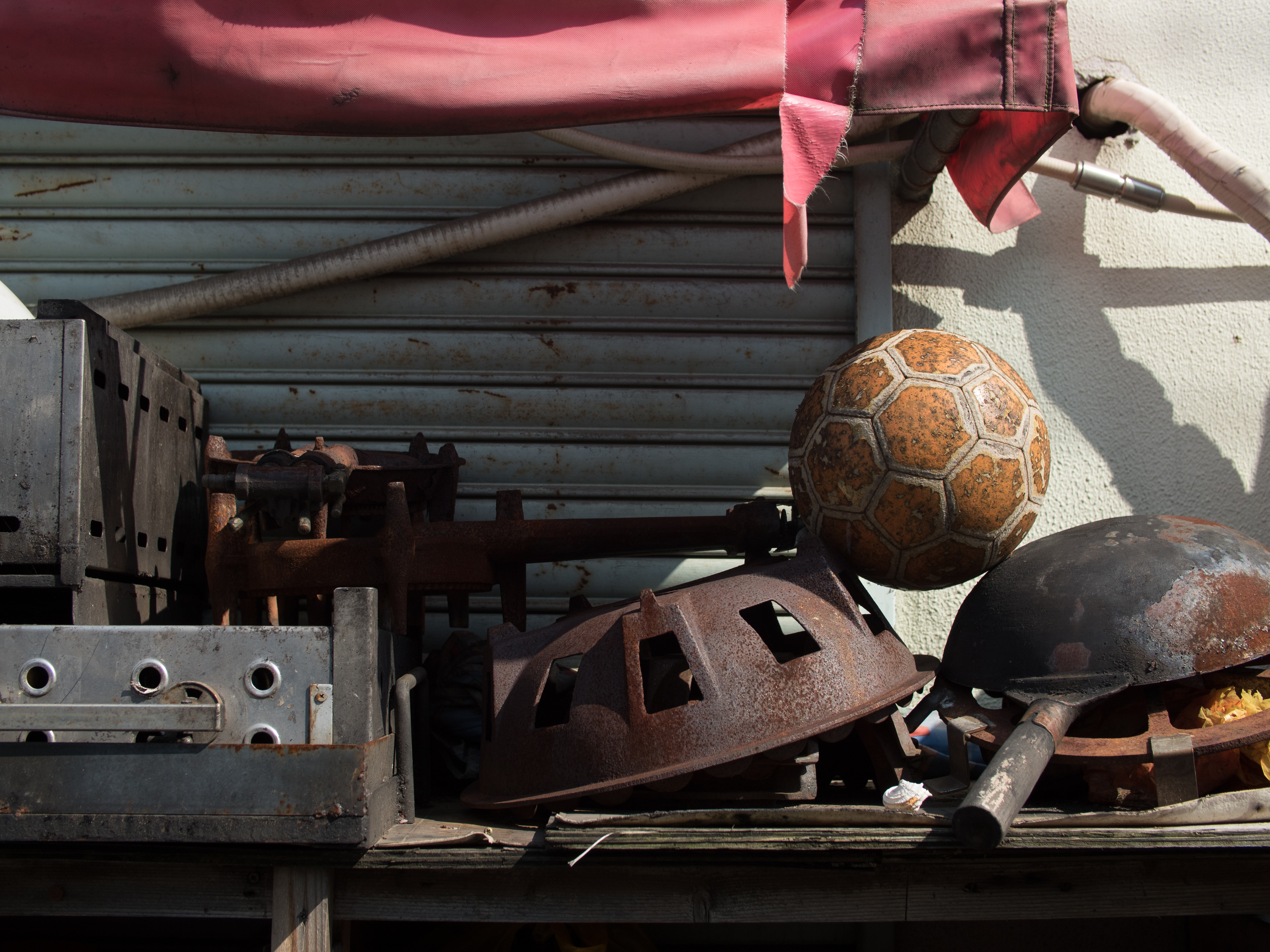 OM-D E-M5 Mark II / Speedmaster 25mm F0.95 / 1/1,600秒 / F4 / -1.3EV / ISO200 / WB:オート / 25mm