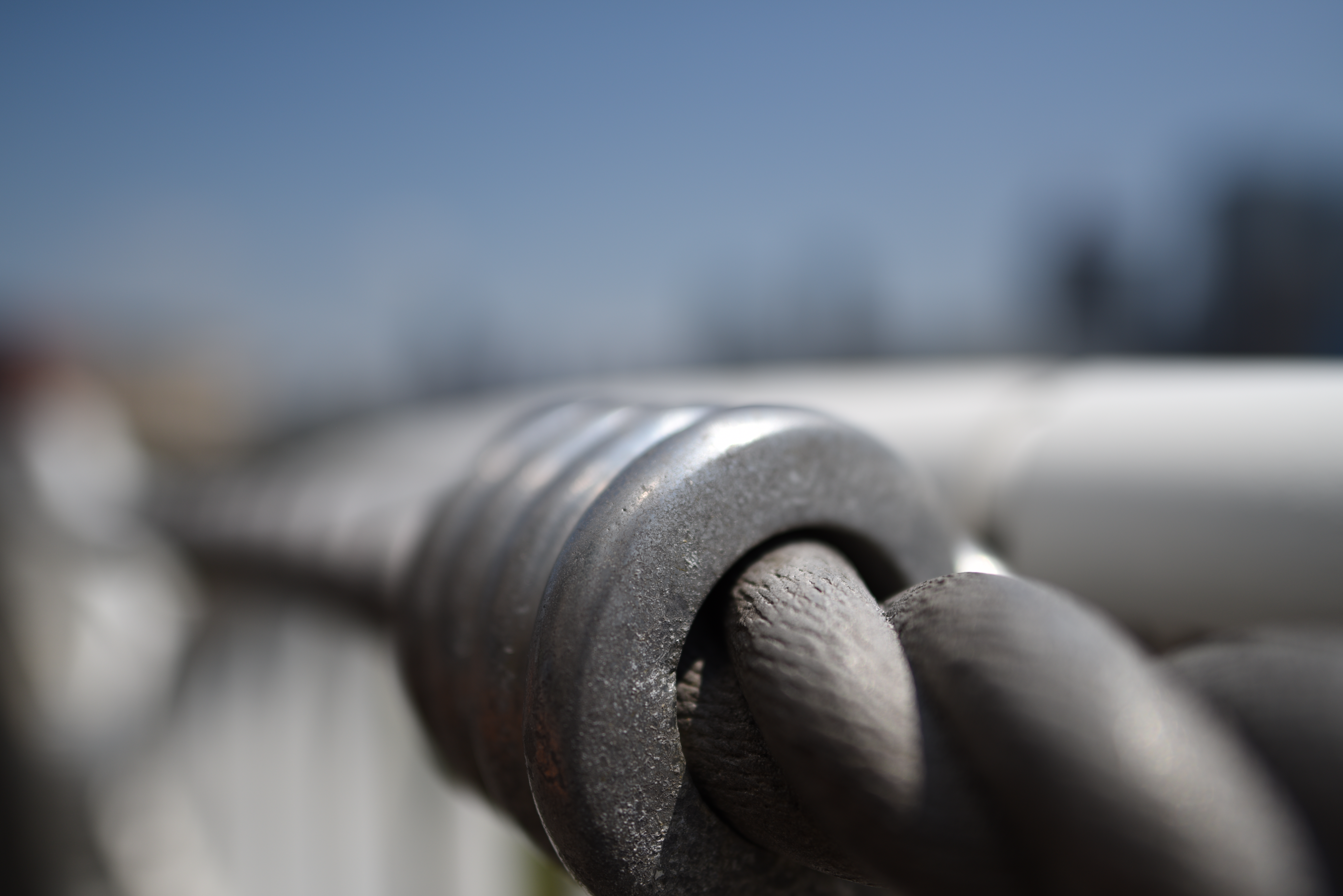 絞り開放・最短撮影距離（約23cm）で撮影。D810 / 1/5,000秒 / F1.8 / 0EV / ISO64 / 絞り優先AE / 24mm