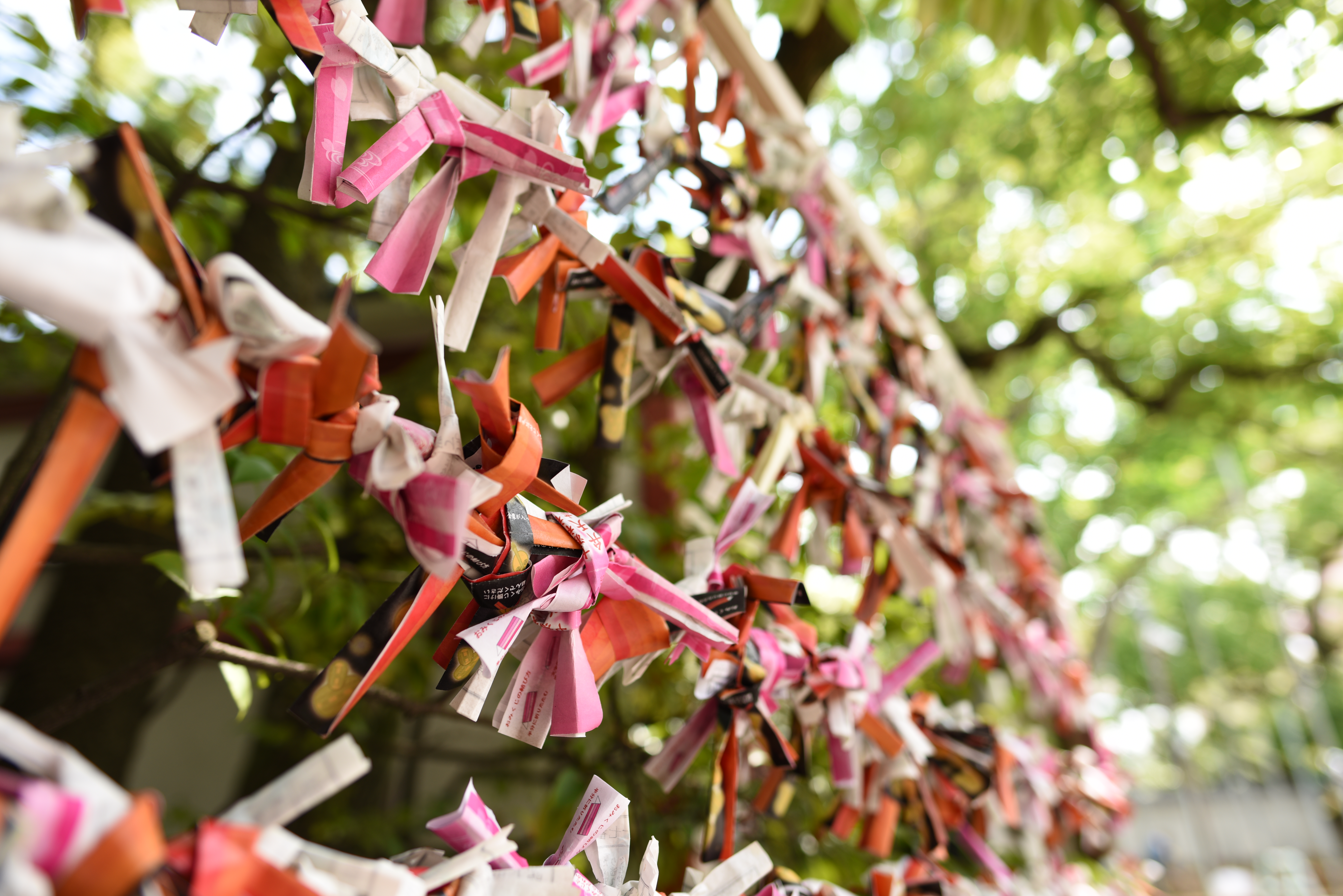 絞りF2.8・距離数mで撮影。D810 / 1/200秒 / F2.8 / +0.3EV / ISO64 / 絞り優先AE / 24mm