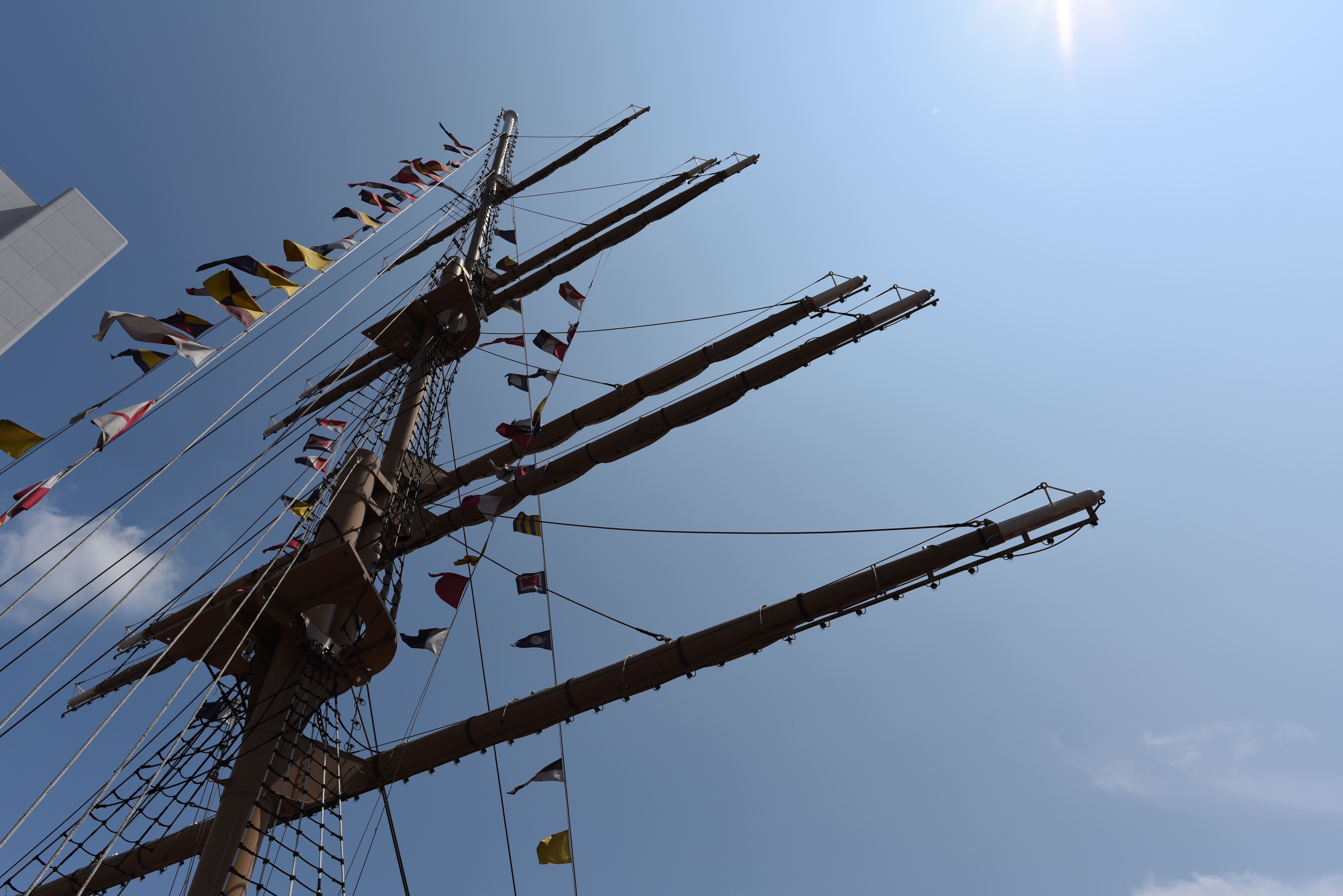 太陽が画面外にある逆光で撮影。D810 / 1/640秒 / F8 / -0.3EV / ISO64 / 絞り優先AE / 24mm