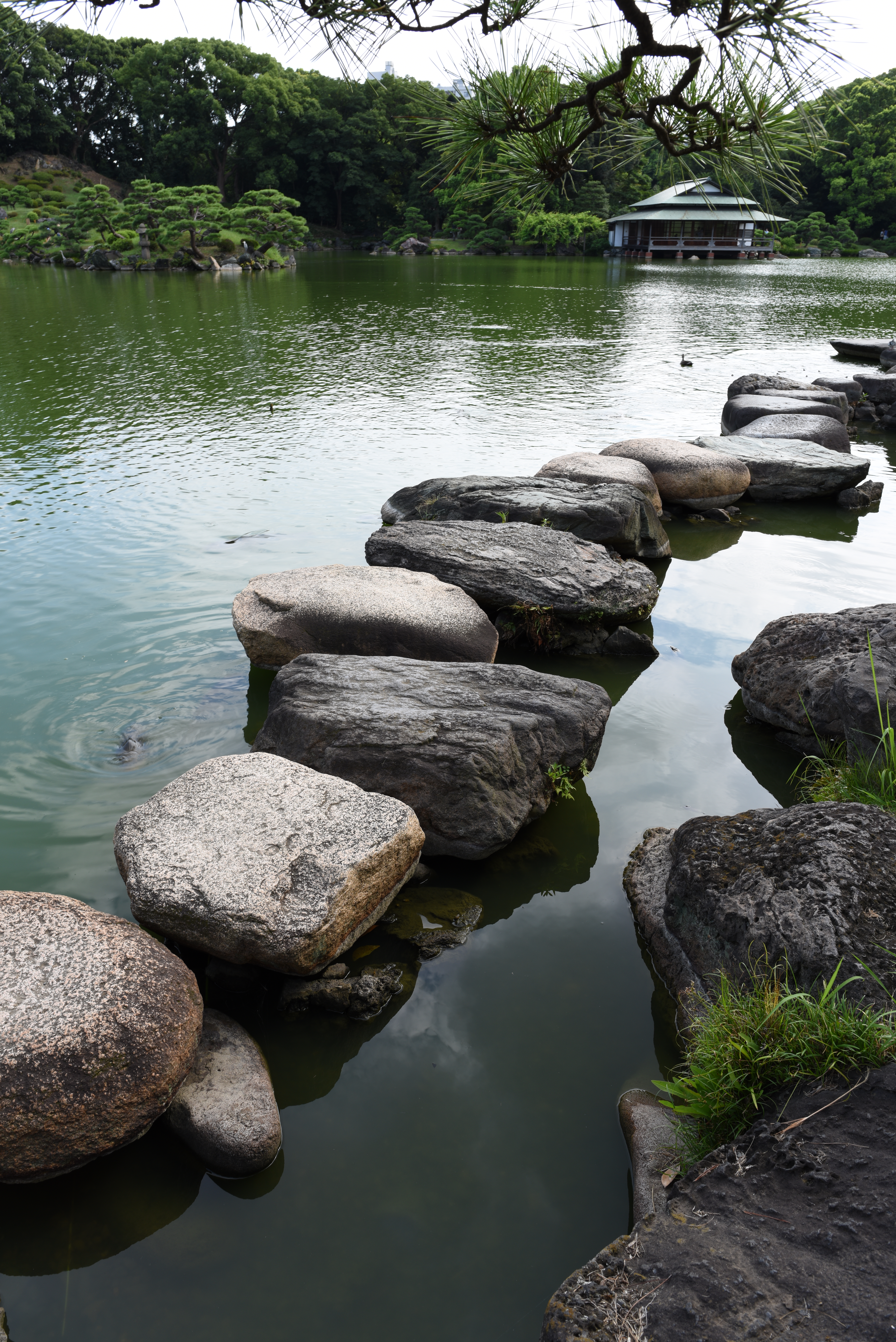 D810 / 1/25秒 / F11 / -0.3EV / ISO64 / 絞り優先AE / 24mm