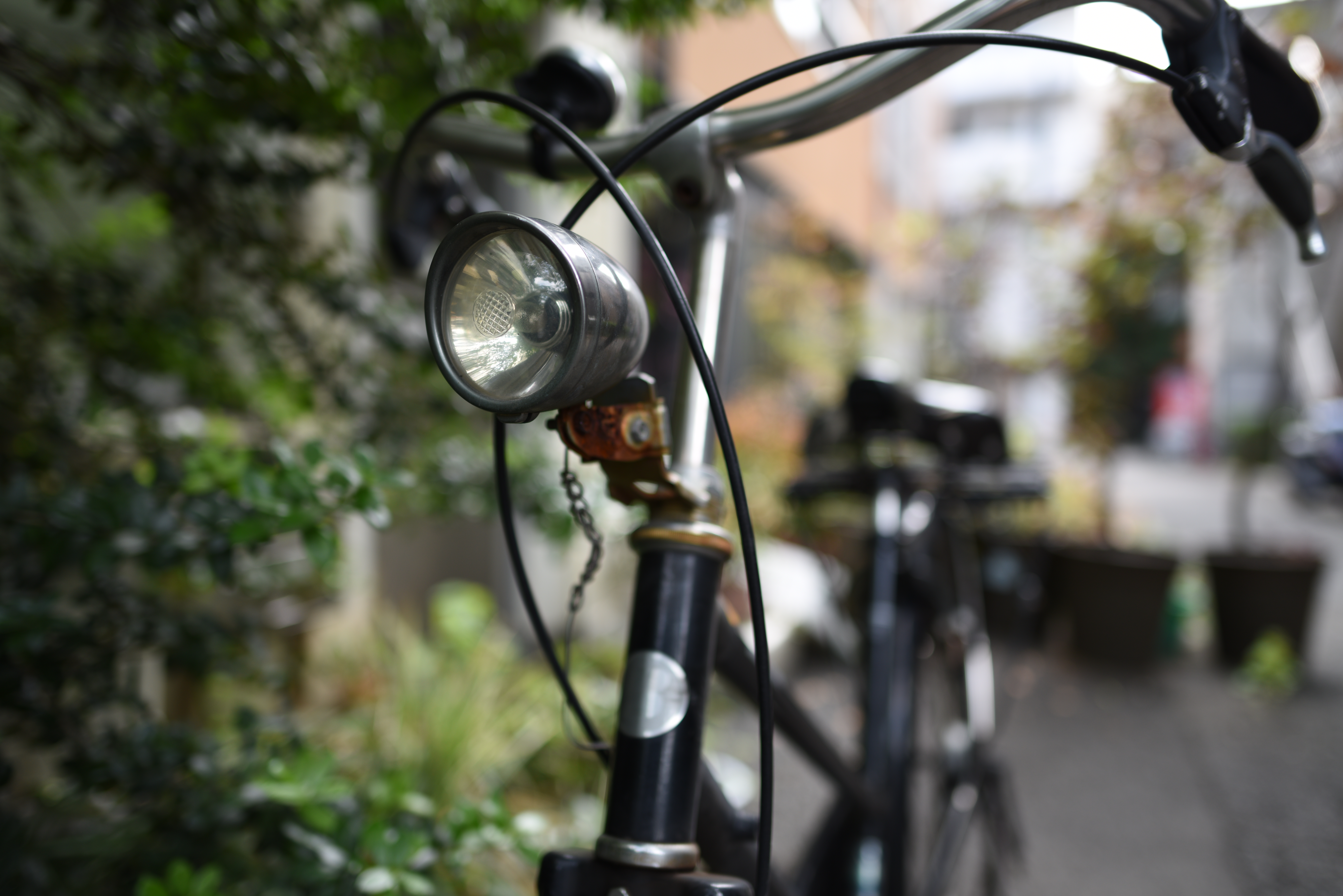 D810 / 1/200秒 / F1.8 / 0EV / ISO64 / 絞り優先AE / 24mm