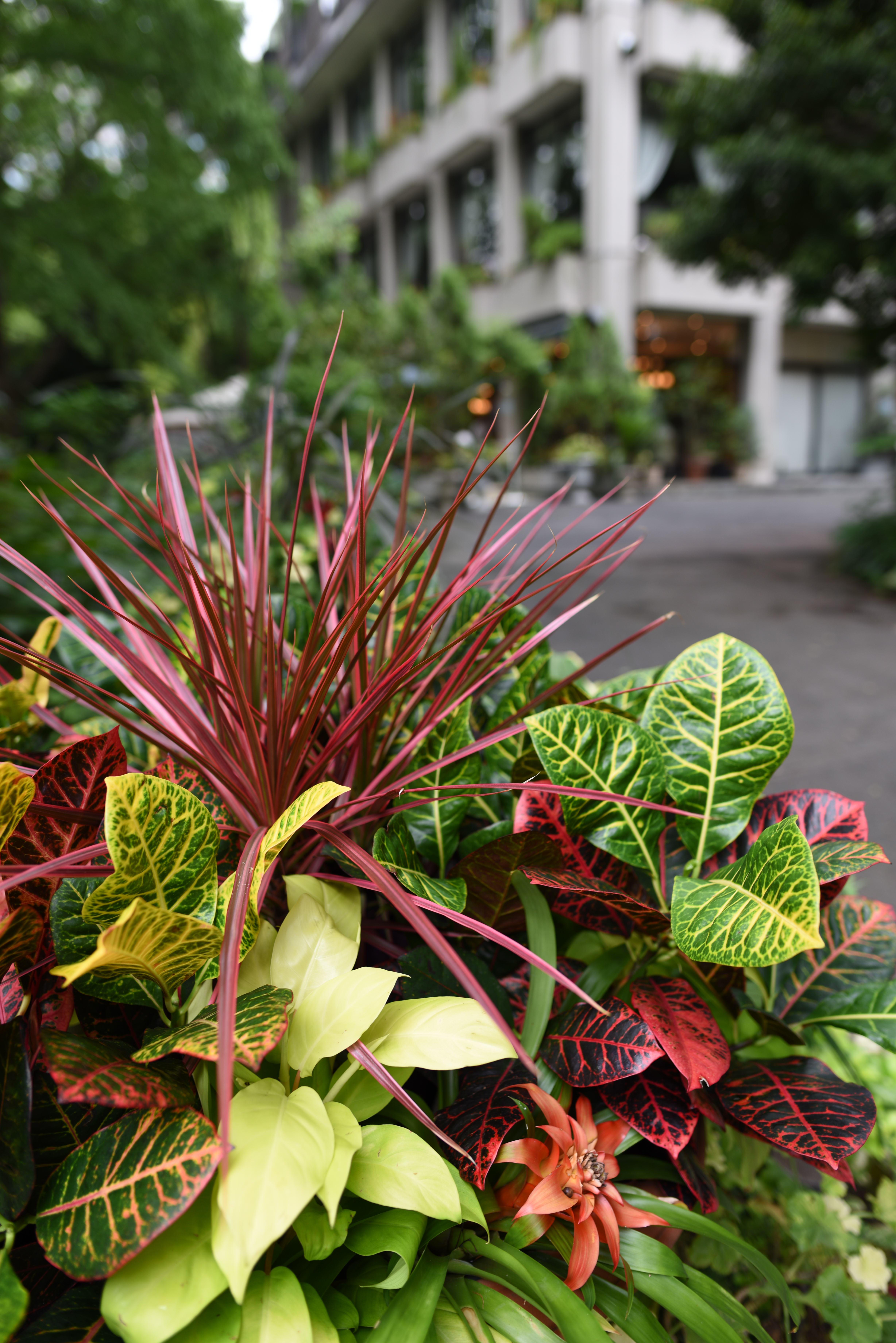 D810 / 1/60秒 / F2.8 / 0EV / ISO64 / 絞り優先AE / 24mm