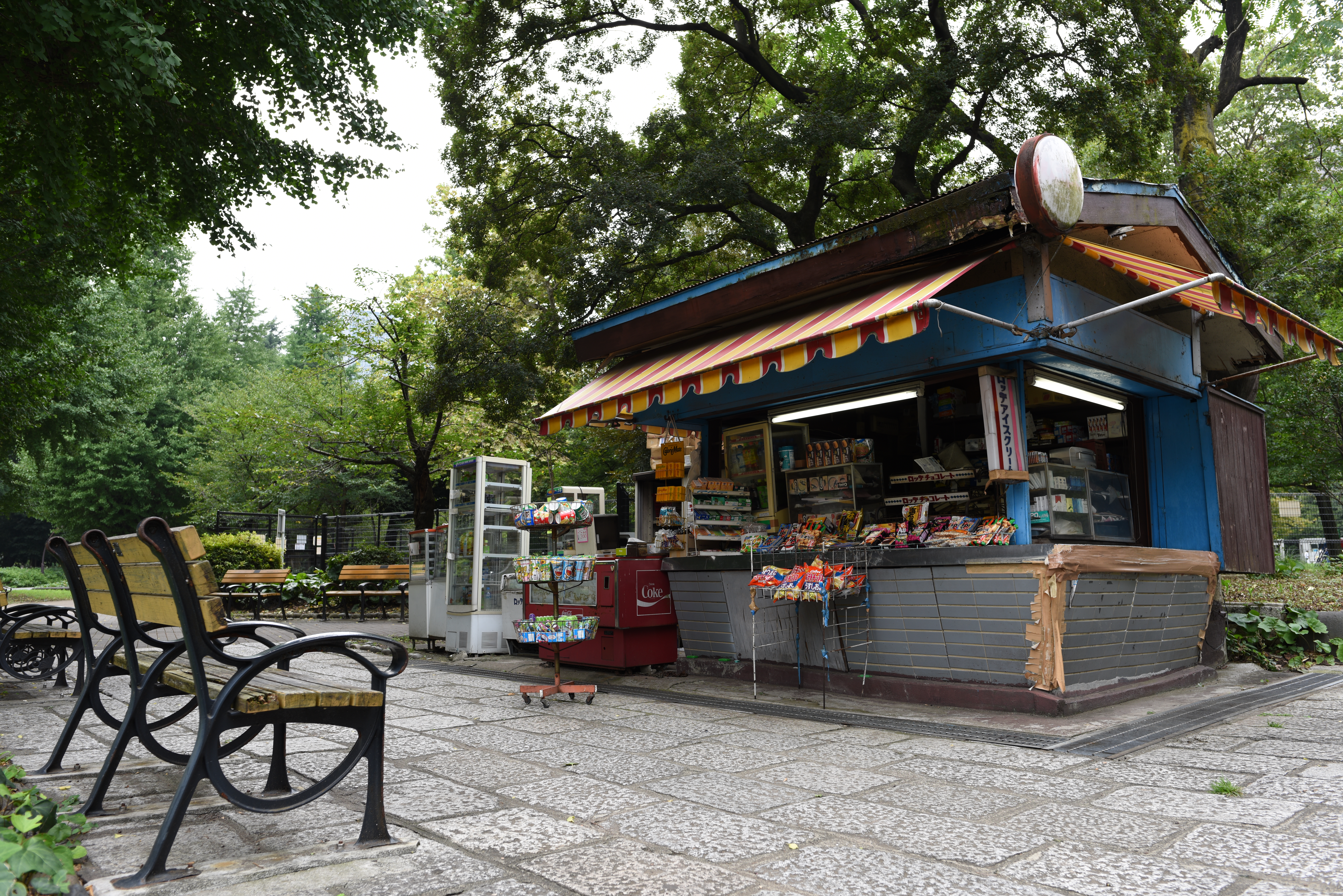 D810 / 1/50秒 / F5.6 / +0.3EV / ISO64 / 絞り優先AE / 24mm