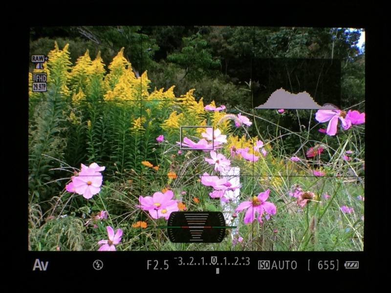 横位置撮影時のEVF表示