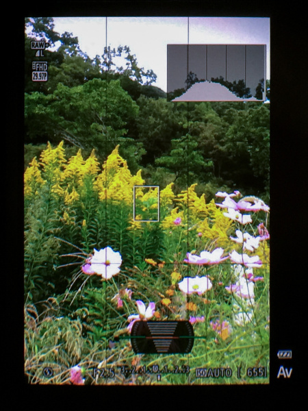 縦位置撮影時のEVF表示