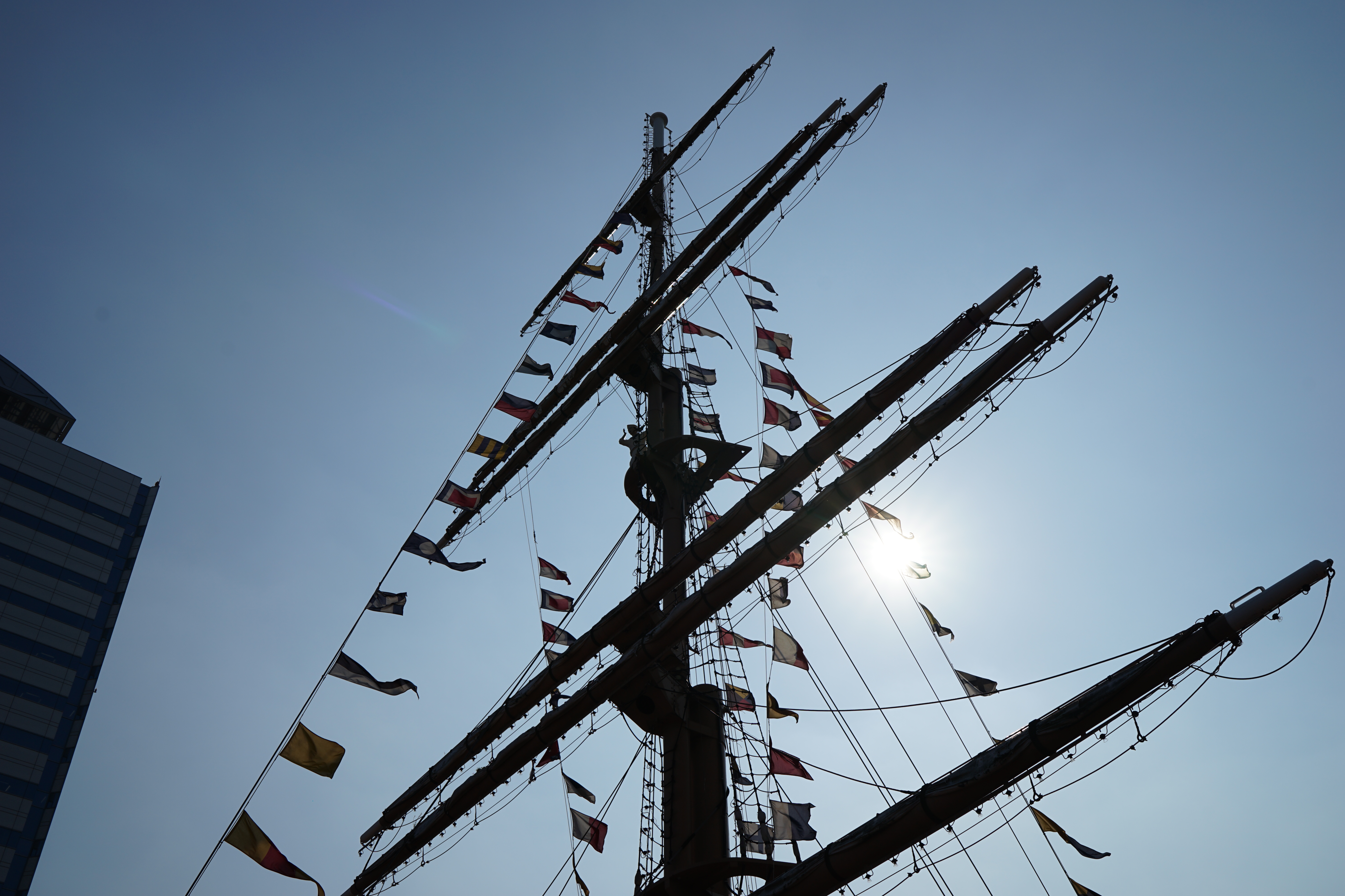 太陽が画面内に入る逆光で撮影。α7 II / 1/1,600秒 / F8 / 0EV / ISO100 / 絞り優先AE / 35mm