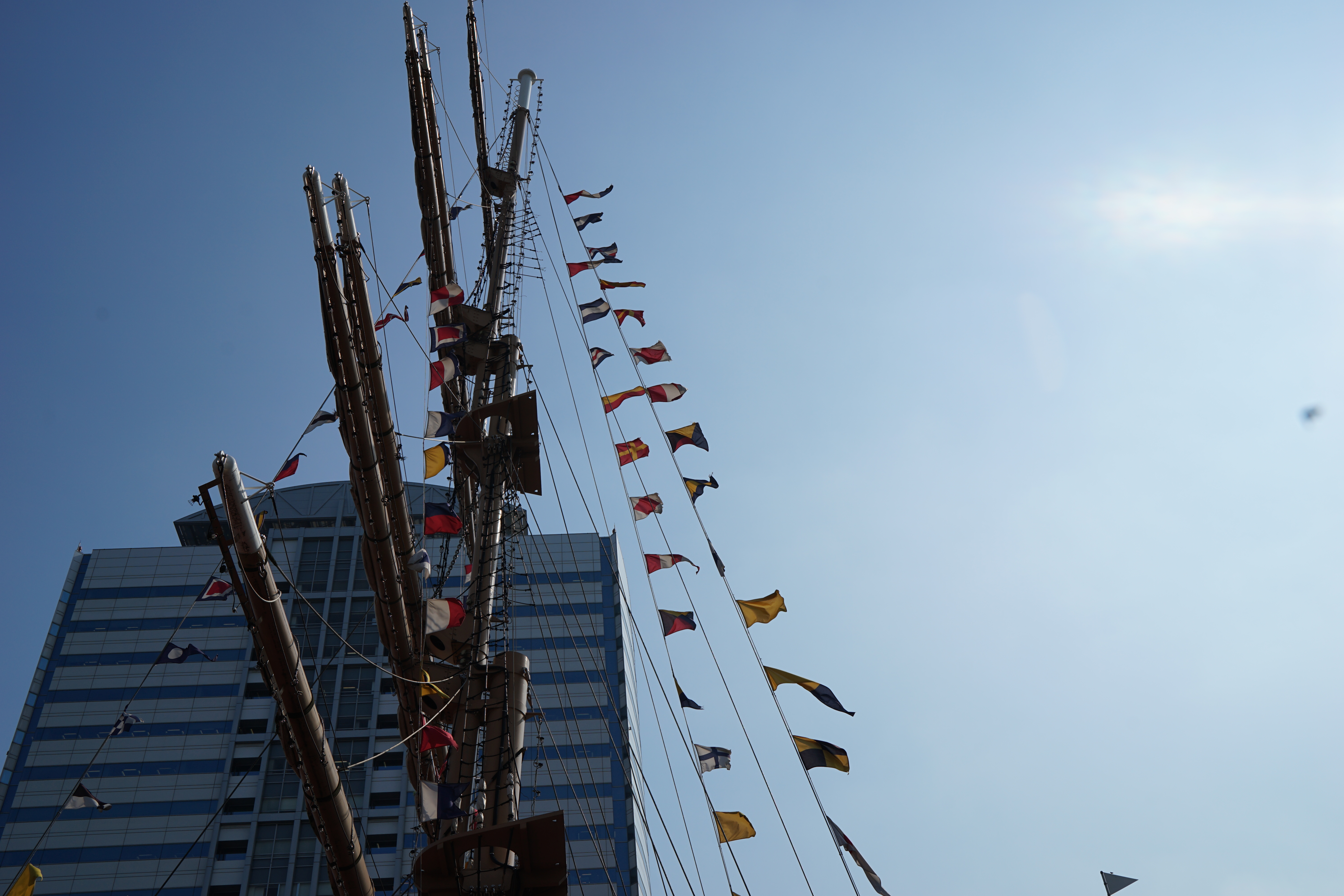 太陽が画面外にある逆光で撮影。α7 II / 1/800秒 / F8 / 0EV / ISO100 / 絞り優先AE / 35mm