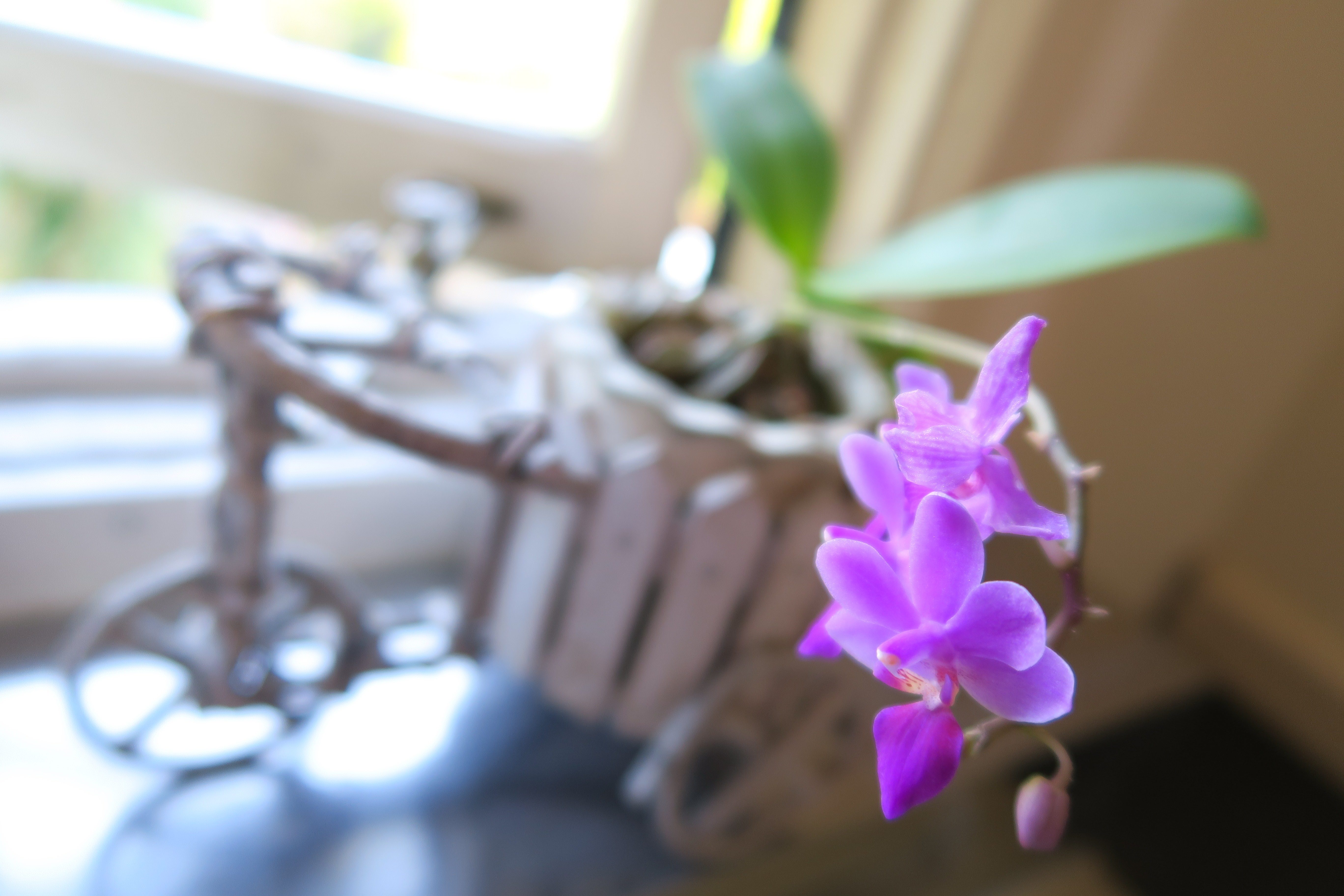 ISO125 / F1.8 / 1/60秒 / 8.8mm