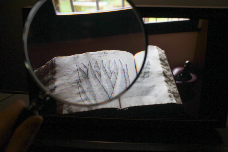 8Kディスプレイをルーペで拡大したところ