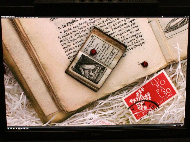 等倍（100%）表示したところ