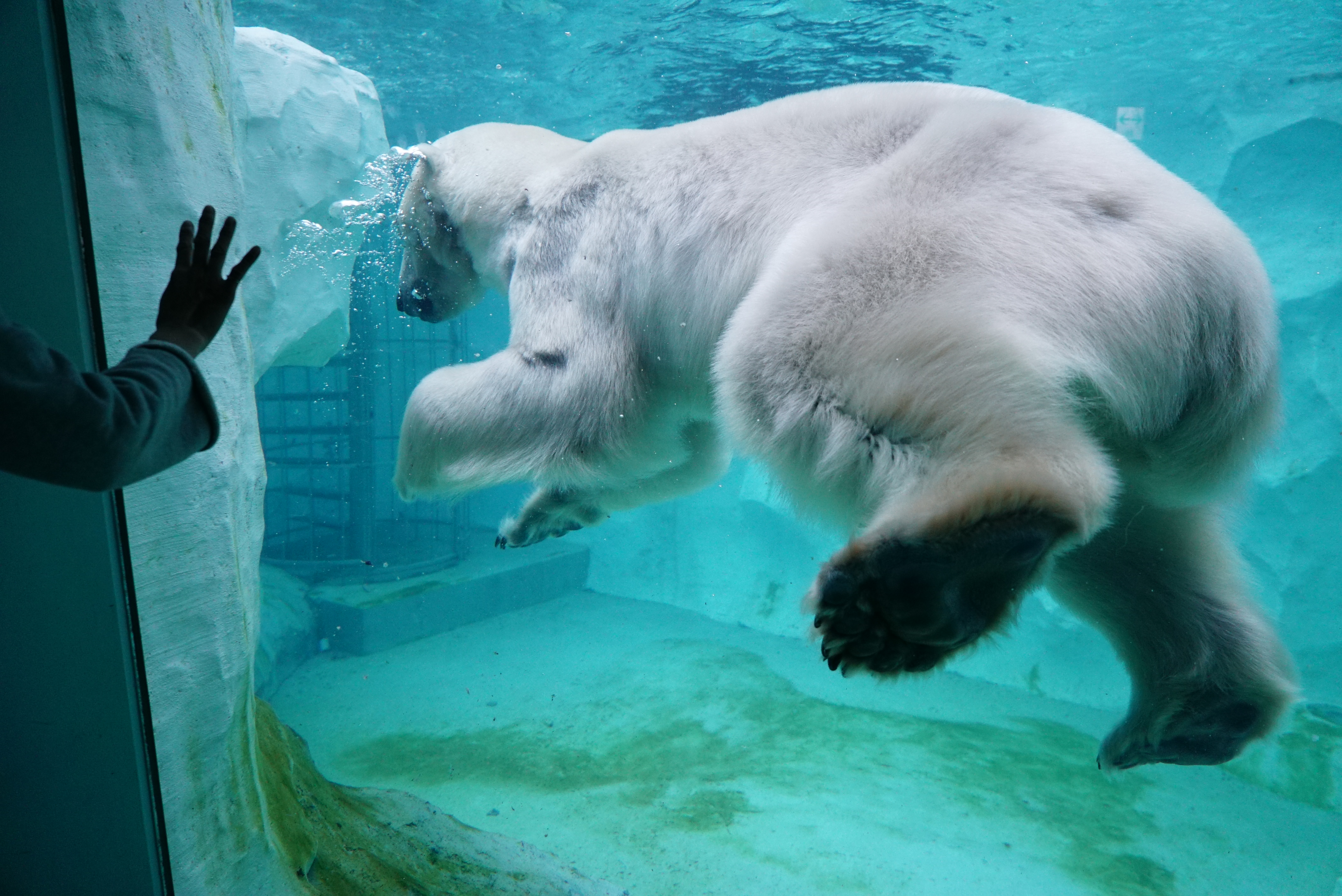 α7S II / Vario-Tessar T* FE 24-70mm F4 ZA OSS / ISO2500 / F4 / 1/500秒 / 24mm