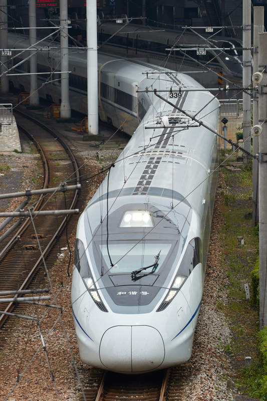 上海駅を出発する高速鉄道の列車を跨線橋の上から金網越しに撮影した。人通りが多い場所なので三脚は使用せず手持ち撮影。こんな条件では手ブレ補正機能がガッチリとサポートしてくれるので安心だ。<br>キヤノン EOS 7D Mark II / EF100-400mm F4.5-5.6L IS II USM /200mm（320mm相当） / マニュアル露出（F8、1/1,000秒） / ISO400