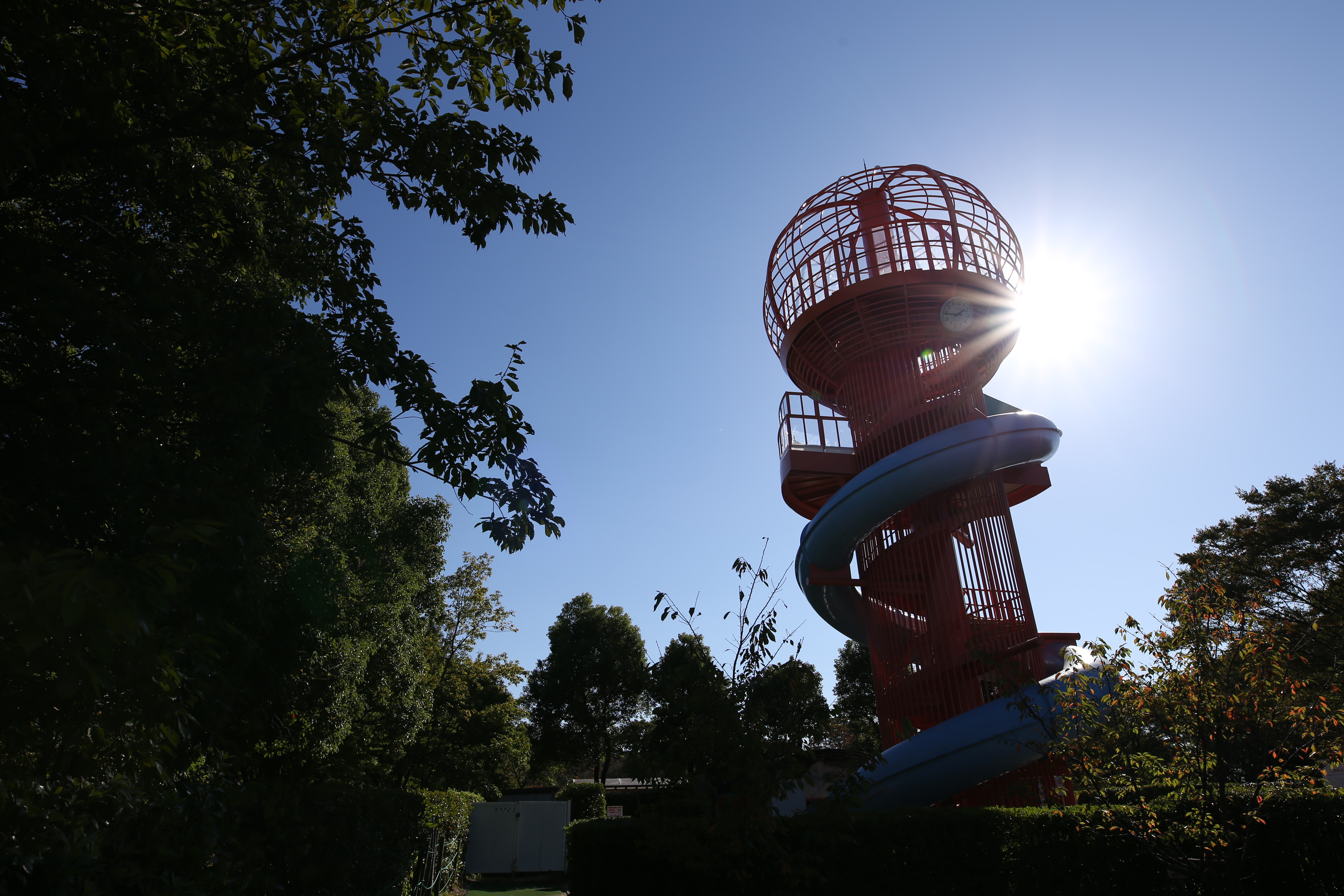 太陽が画面内に入る逆光で撮影。EOS 6D / 1/500秒 / F8 / 0EV / ISO100 / マニュアル / 20mm