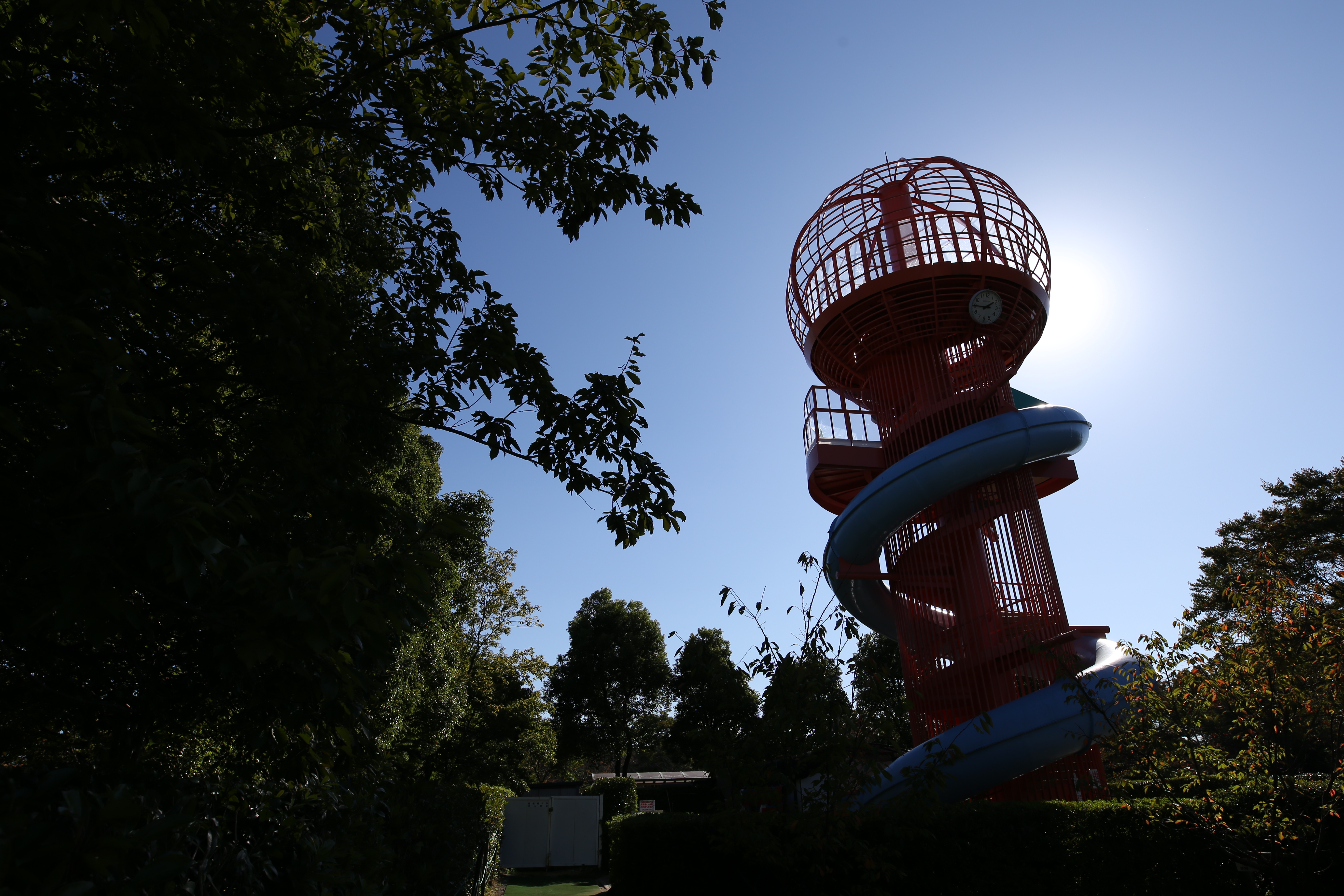 太陽が画面外にある逆光で撮影。EOS 6D / 1/500秒 / F8 / 0EV / ISO100 / マニュアル / 20mm