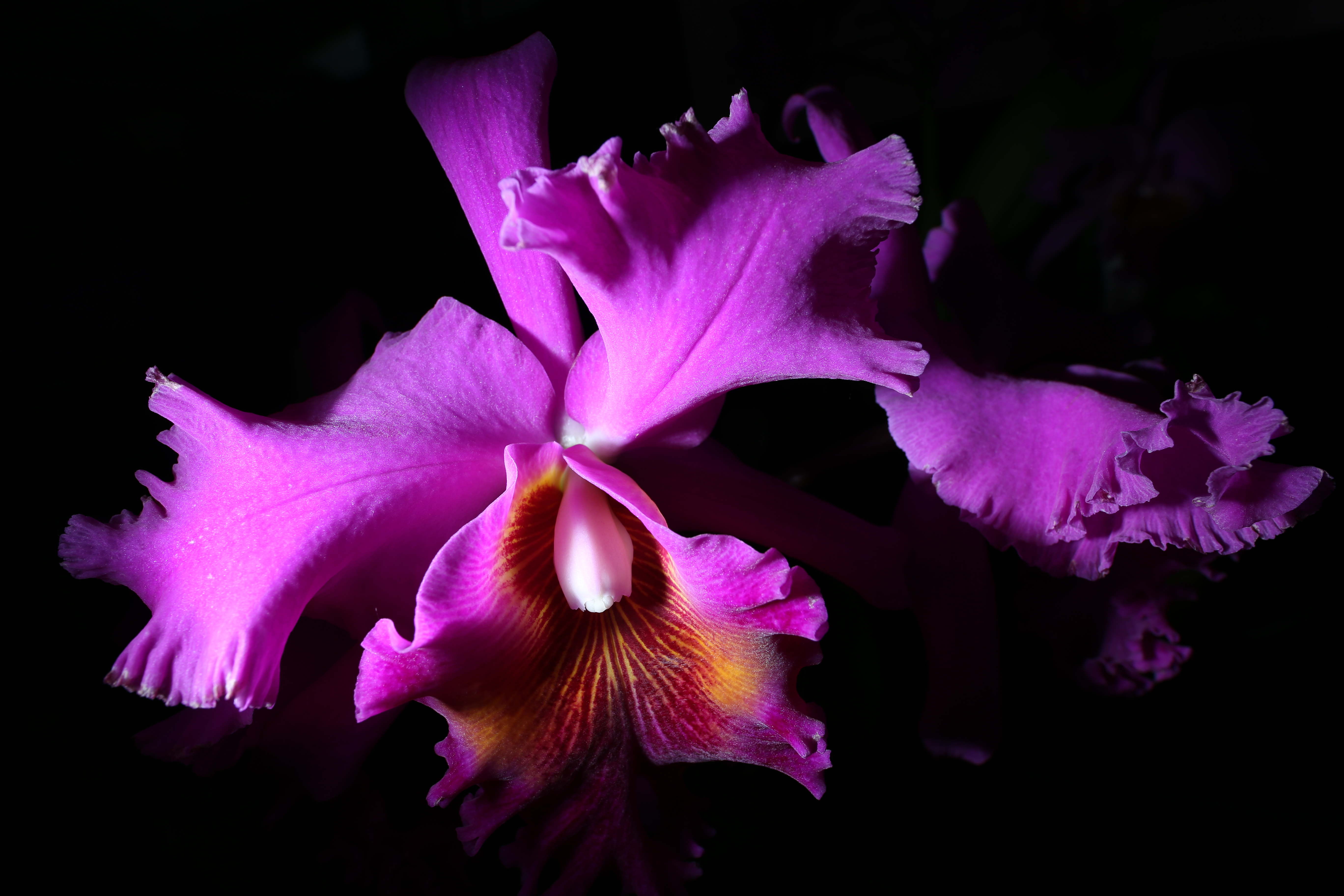 EOS 6D / 1/180秒 / F10 / 0EV / ISO100 / マニュアル / 20mm