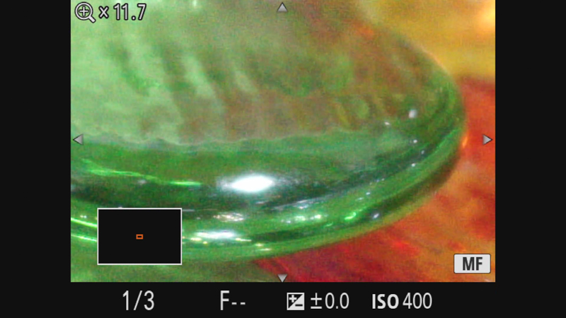 近接撮影時はとくに拡大してピント合わせを行うほうが確実だ