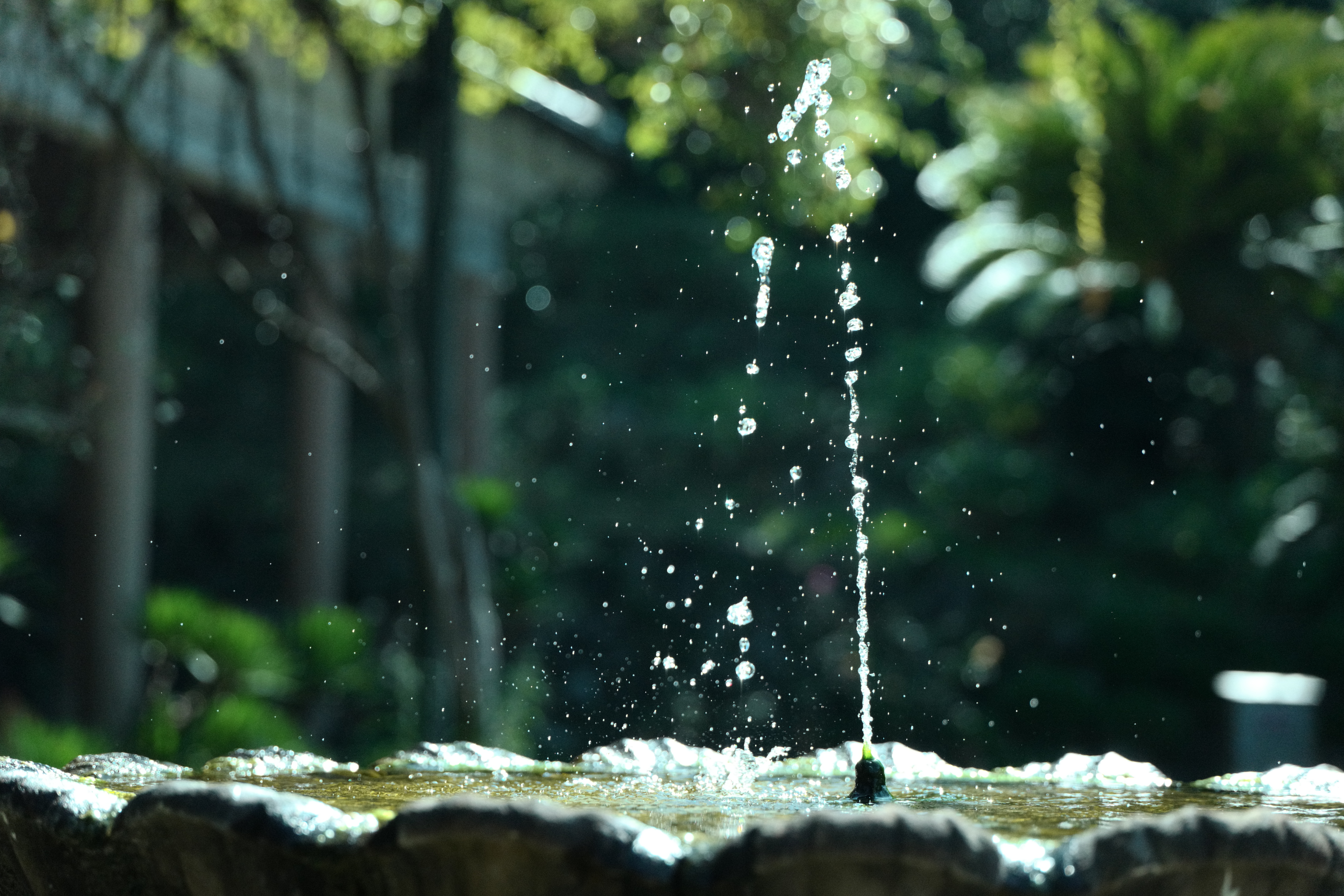 ISO3200 / F4 / 1/8,000秒 / +0.6EV / 88mm