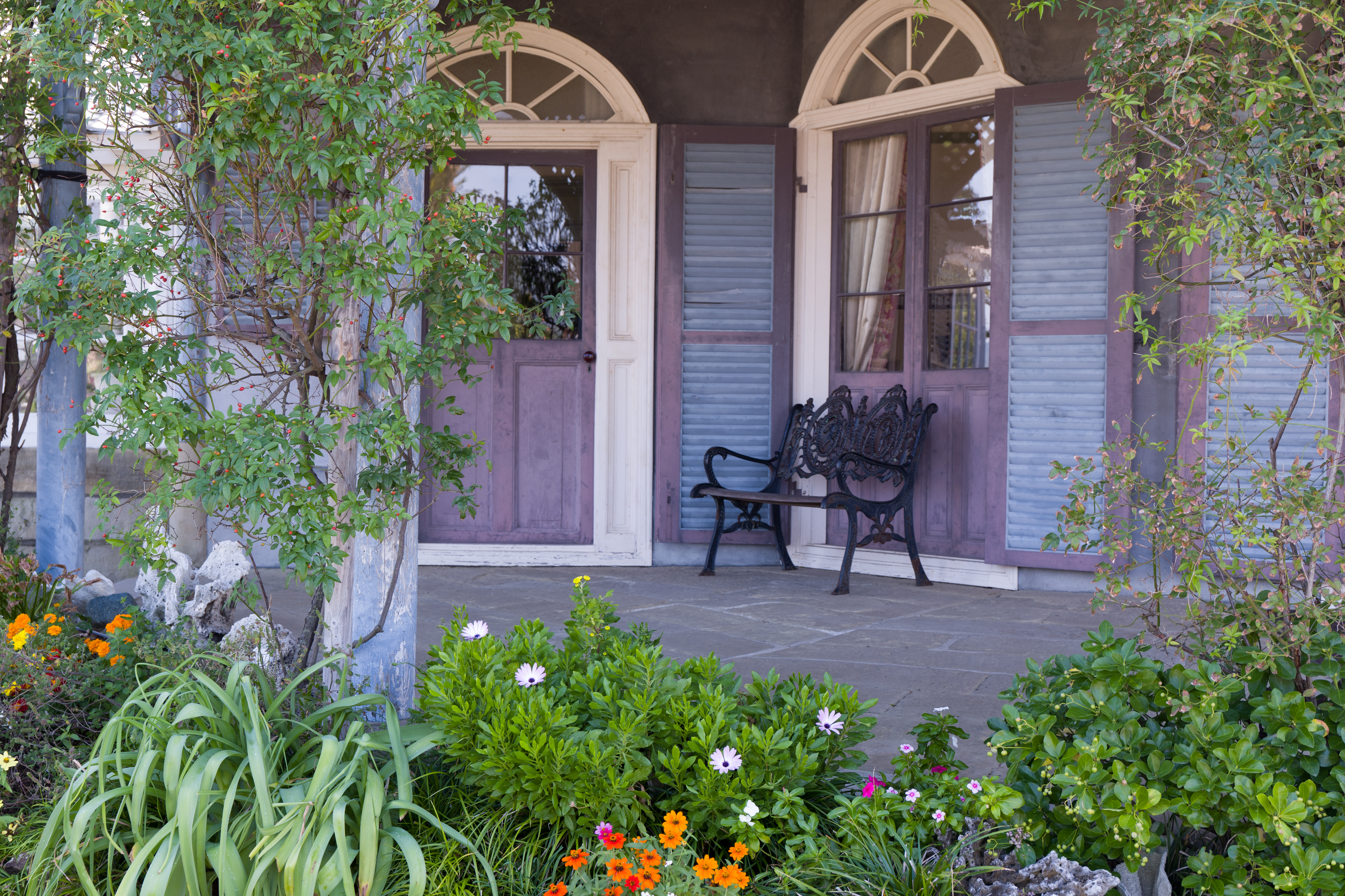 ISO200 / F5.6 / 1/80秒 / ±0EV / 49mm / Lightroomで現像