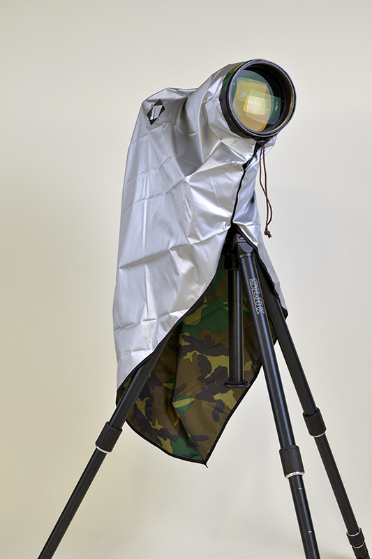 裏面色のシルバー面