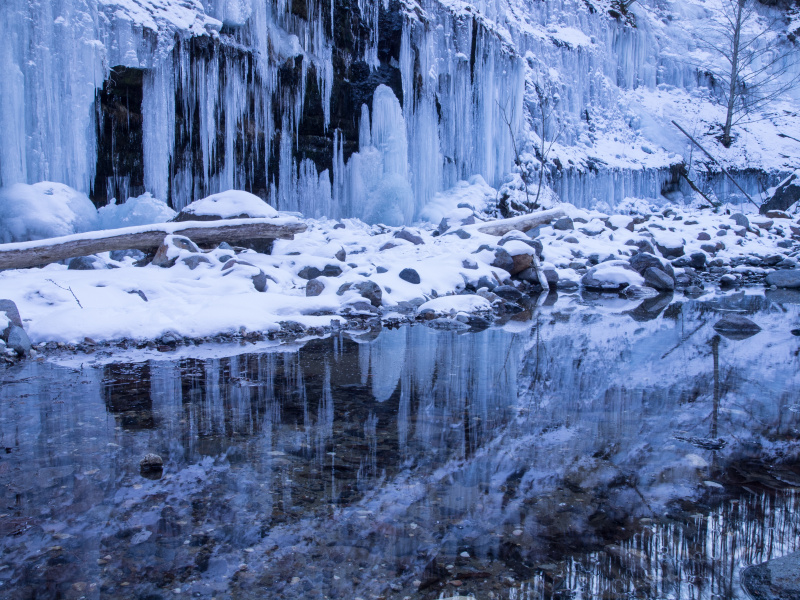 南牧村の国道141号線から「灯明の湯」方向へ入り、湯川沿いを進む。広い空き地に駐車し徒歩約30分で眼下に氷柱群が見える。渓谷へ下る道へ入ると、上流方向と下流方向の2カ所に大氷柱がある。気温が高い日は氷柱が落ちるので、厳重注意だ<br class="">オリンパスE-5／ZUIKO DIGITAL ED 12-60mm F2.8-4.0 SWD／15mm（30mm相当）／絞り優先AE（F16、1/4秒、-0.3EV）／ISO 100／WB：太陽光<br class="">長野県南牧村／1月中旬／14時／標準レンズ