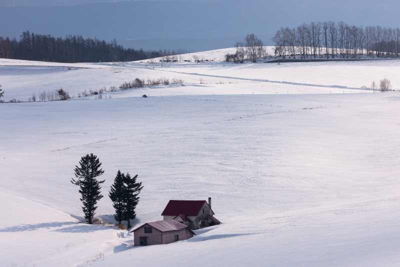 <strong class="">【自然光の陰影がメリハリを生む】</strong>影が弱いとコントラストも同様に低下する。自然光の陰影を見定めることで作品に臨場感を与えることができる