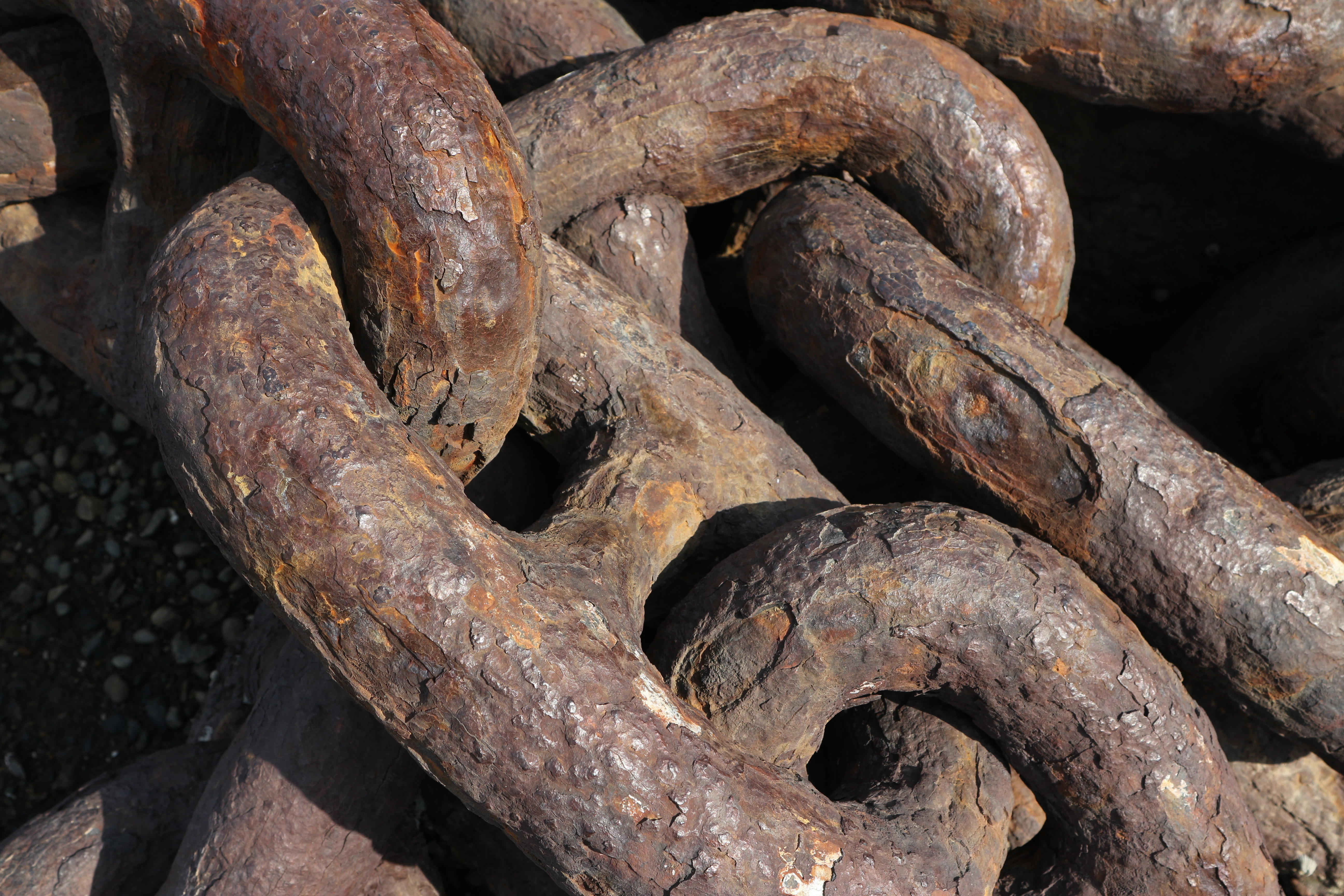 ISO100 / F8 / 1/200秒 / -0.7EV / 24mm