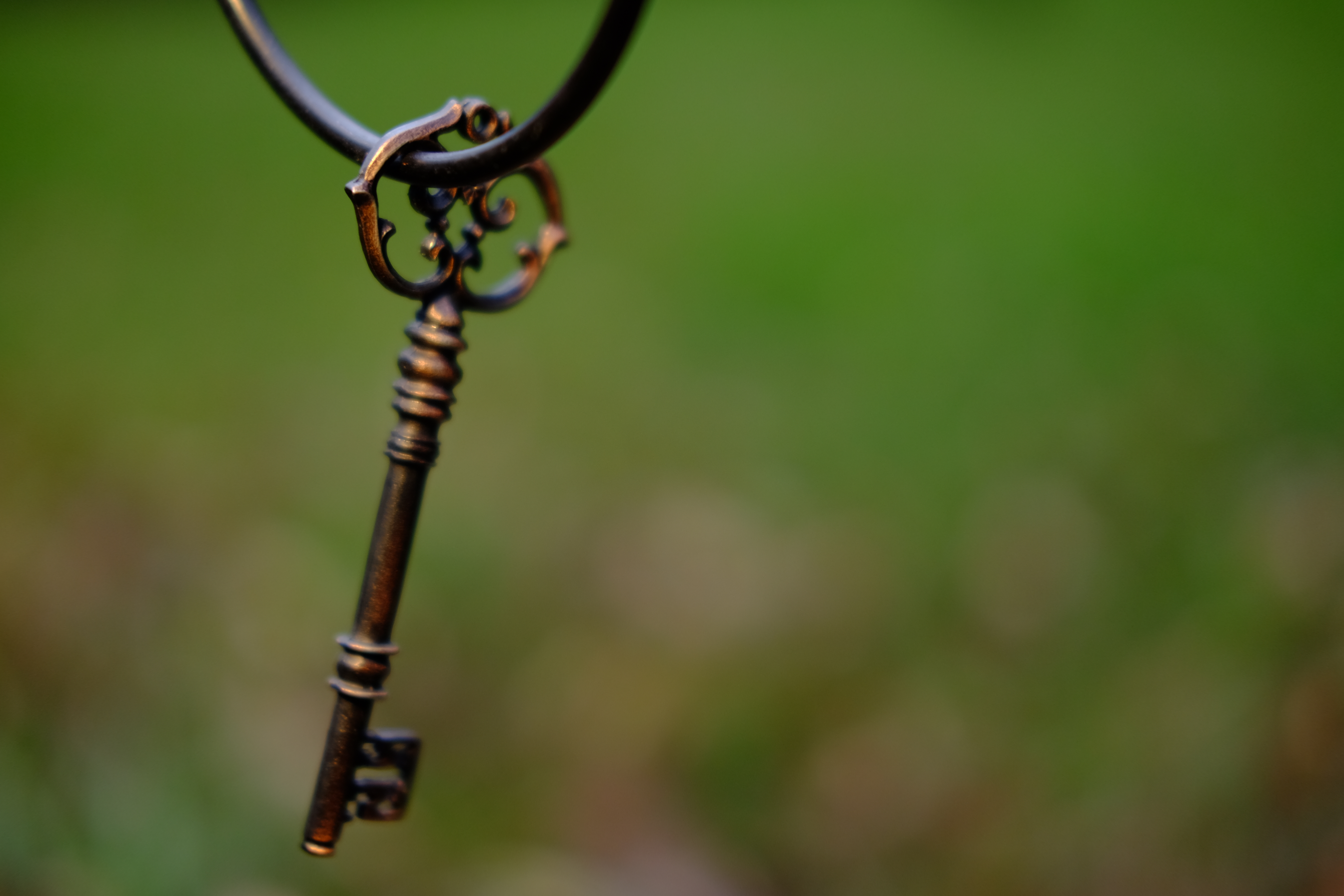 絞り開放・最短撮影距離（約35cm）で撮影。X-T10 / 1/60秒 / F2 / 0EV / ISO200 / マニュアル / 35mm