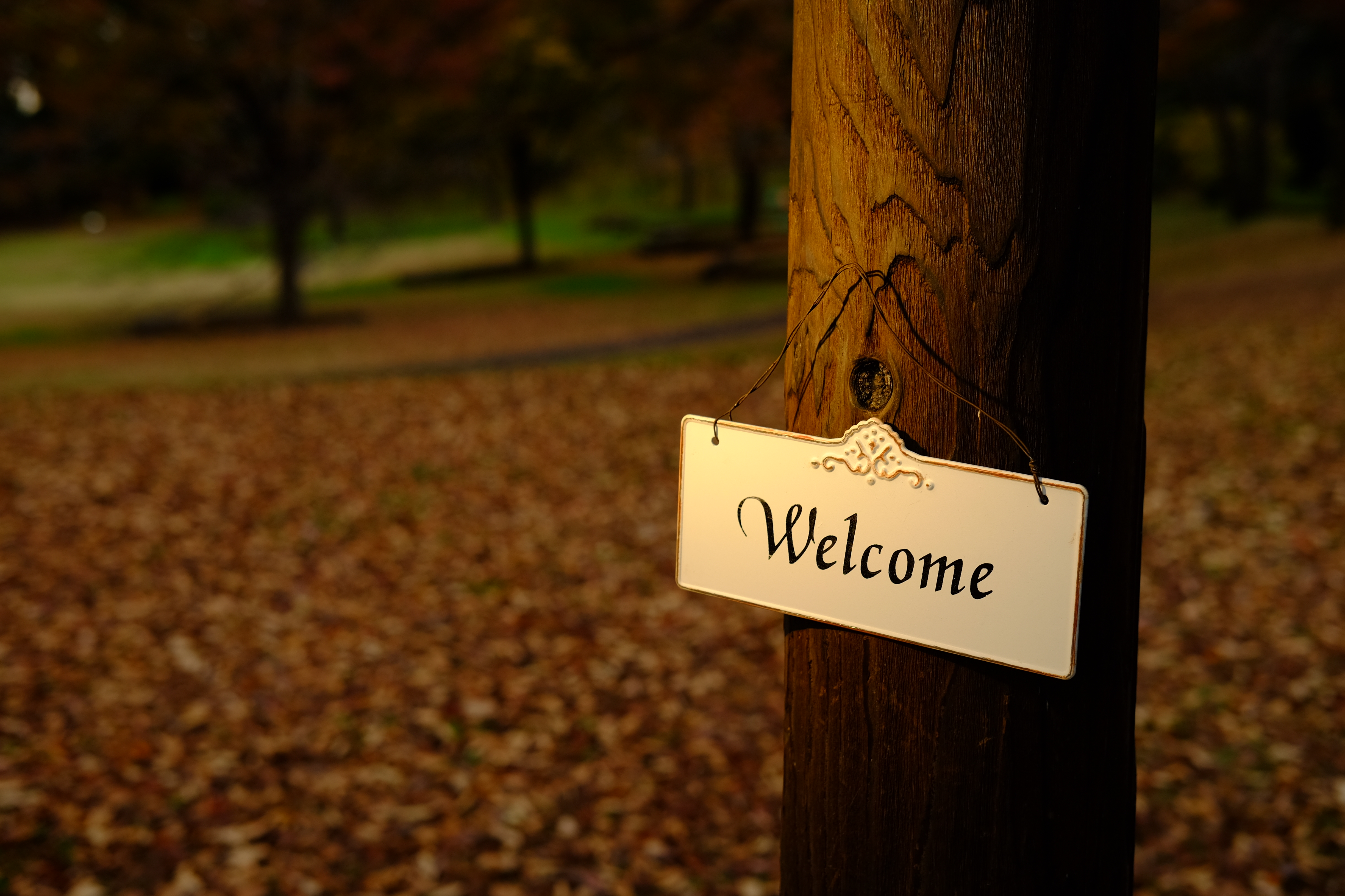 絞りF4・距離数mで撮影。X-T10 / 1/60秒 / F4 / 0EV / ISO200 / マニュアル / 35mm