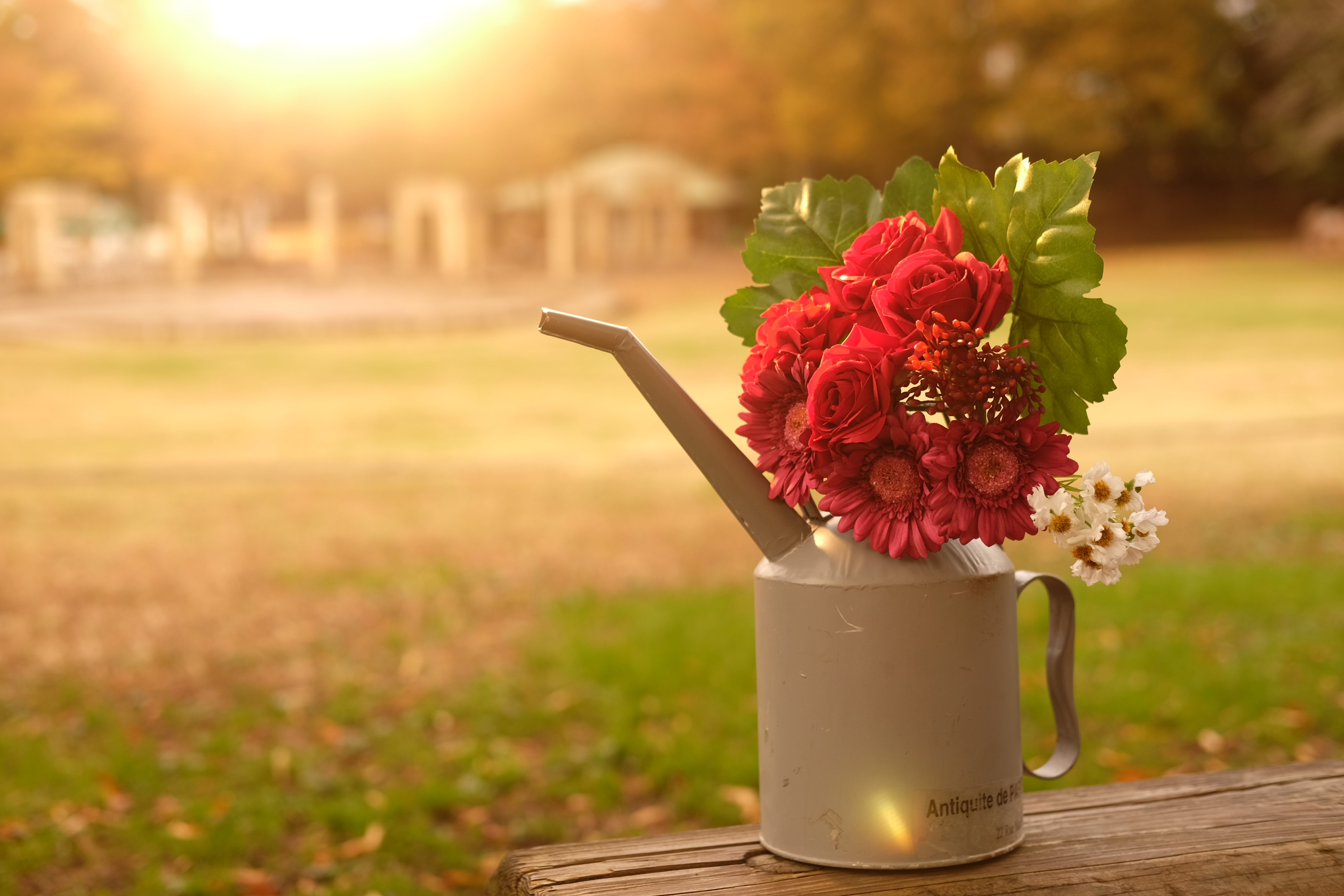 太陽が画面内に入る逆光で撮影。X-T10 / 1/180秒 / F2.8 / 0EV / ISO100 / マニュアル / 35mm