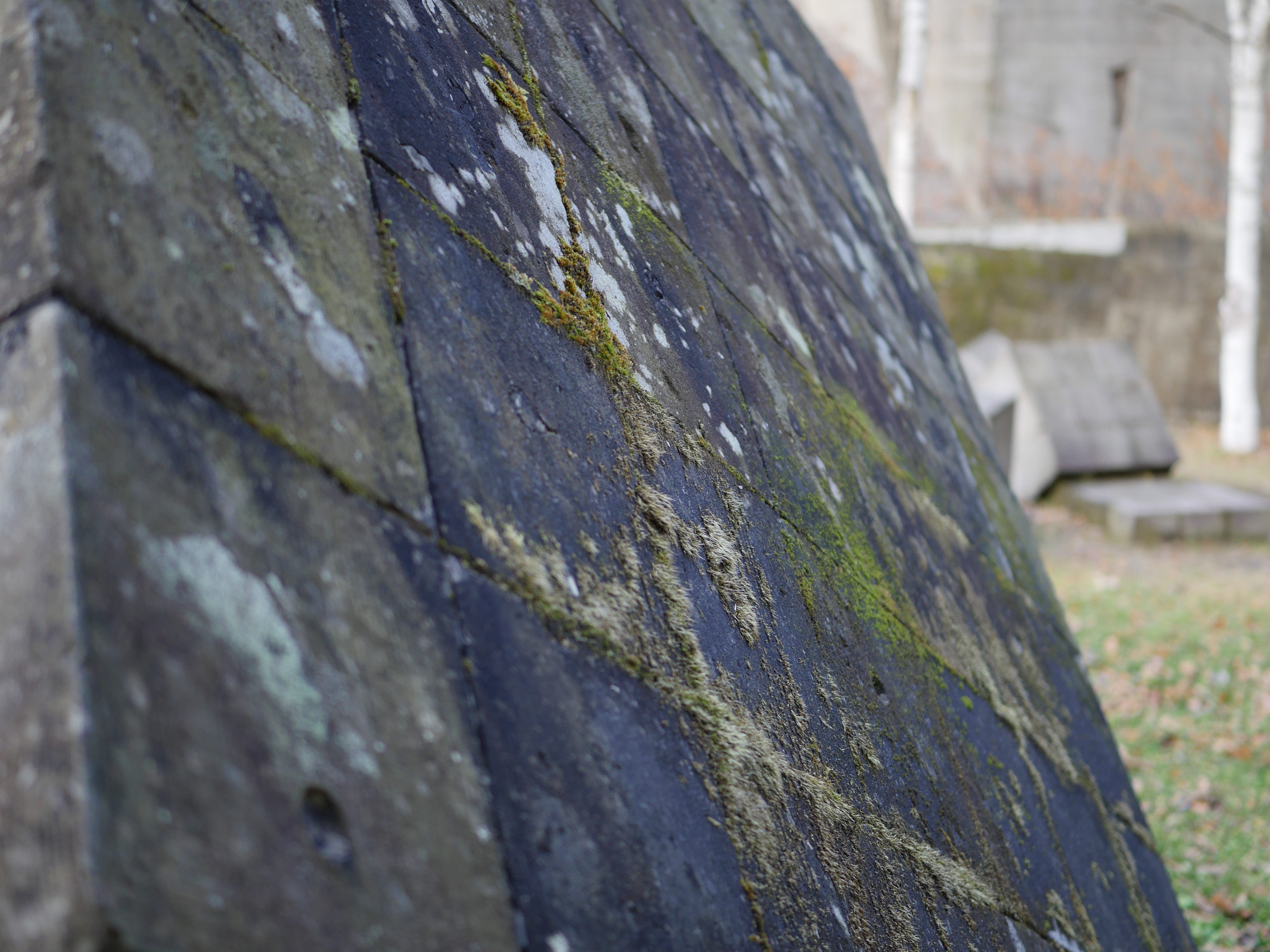 絞り開放・距離数mで撮影。DMC-GX8 / 1/200秒 / F1.7 / -0.3EV / ISO200 / 絞り優先AE / 25mm