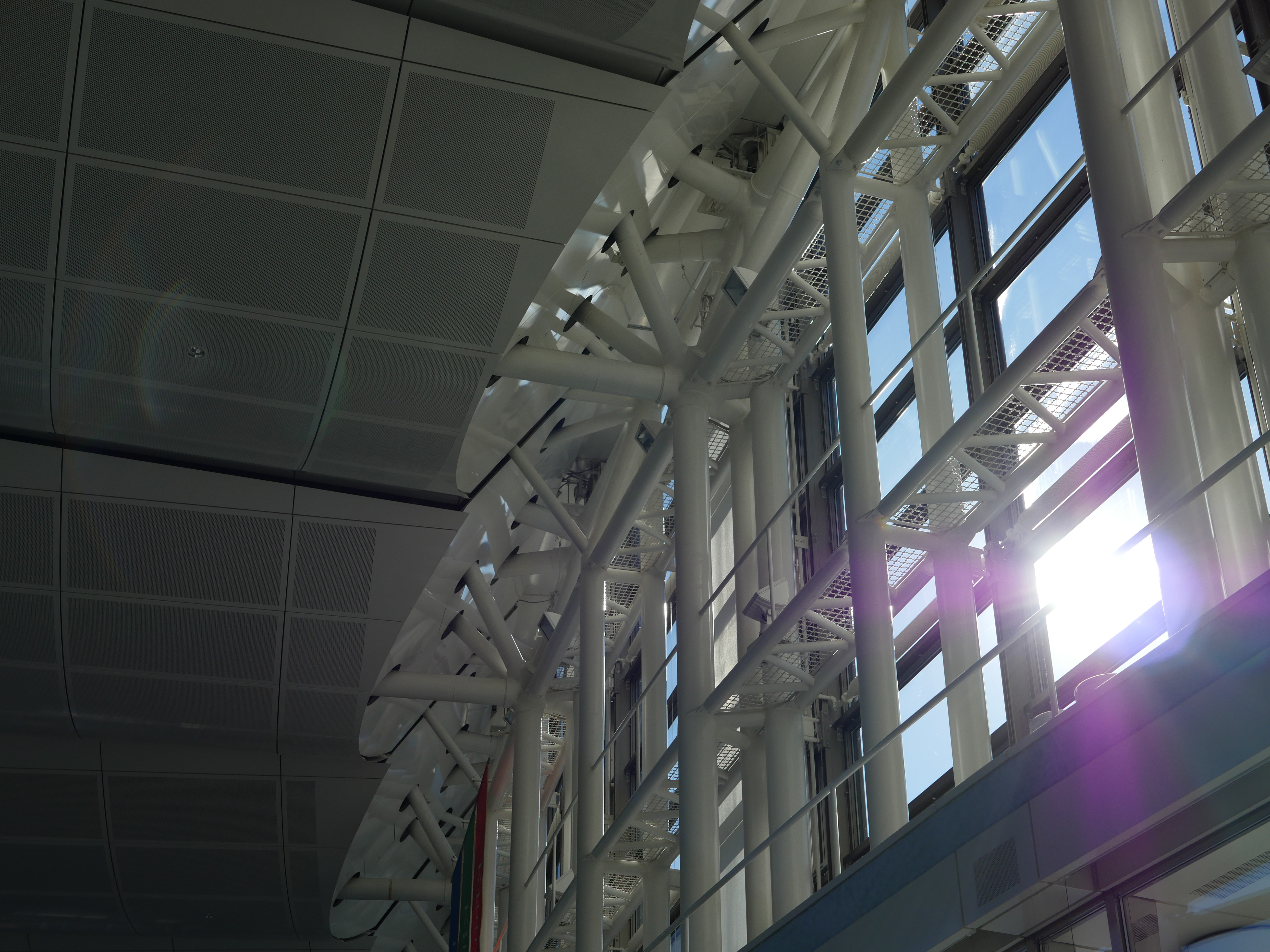 太陽が画面内に入る逆光で撮影。DMC-GX8 / 1/1600秒 / F4 / -0.7EV / ISO200 / 絞り優先AE / 25mm