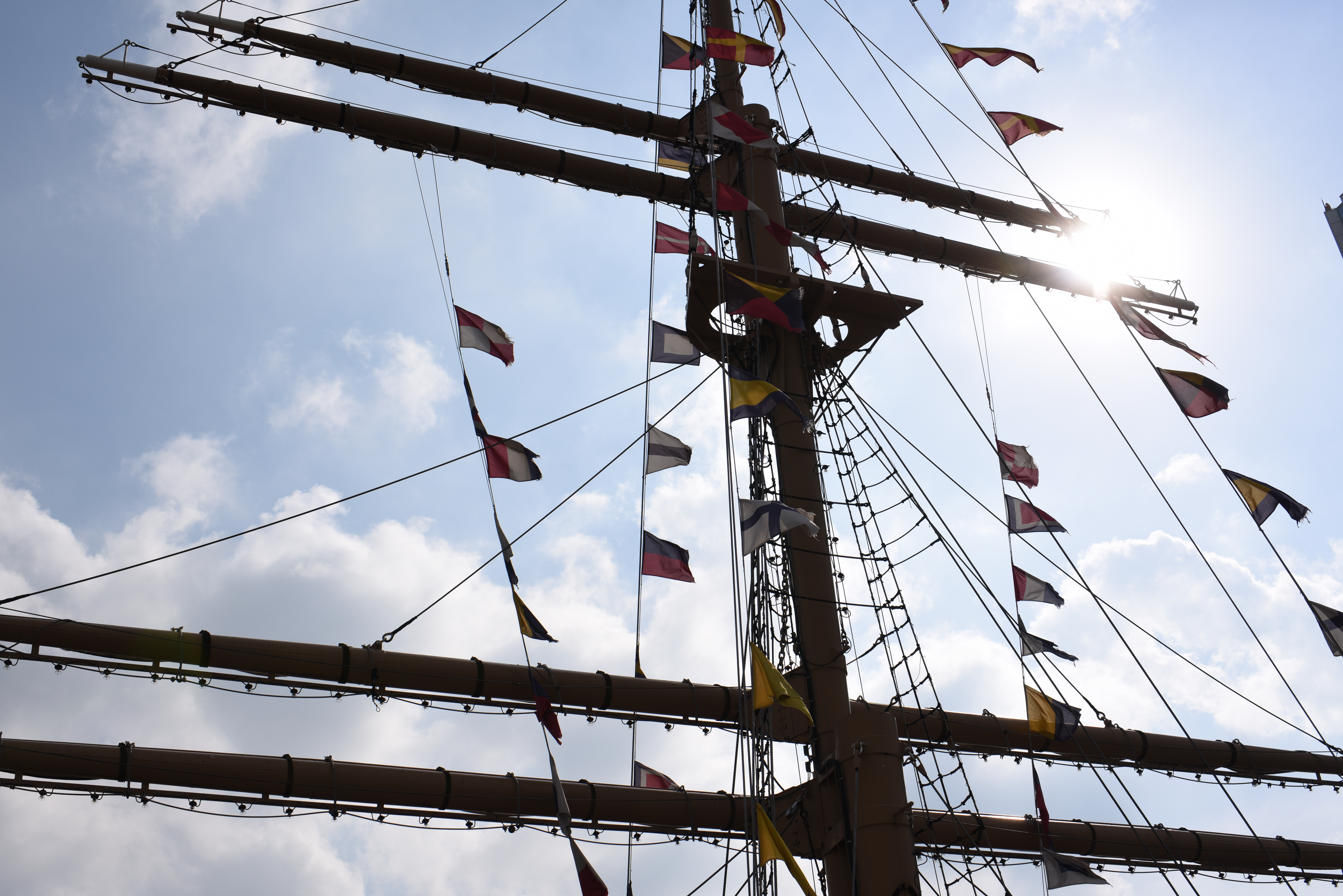 太陽が画面内に入る逆光で撮影。D810 / 1/800秒 / F8 / -0.3EV / ISO64 / 絞り優先AE / 45mm