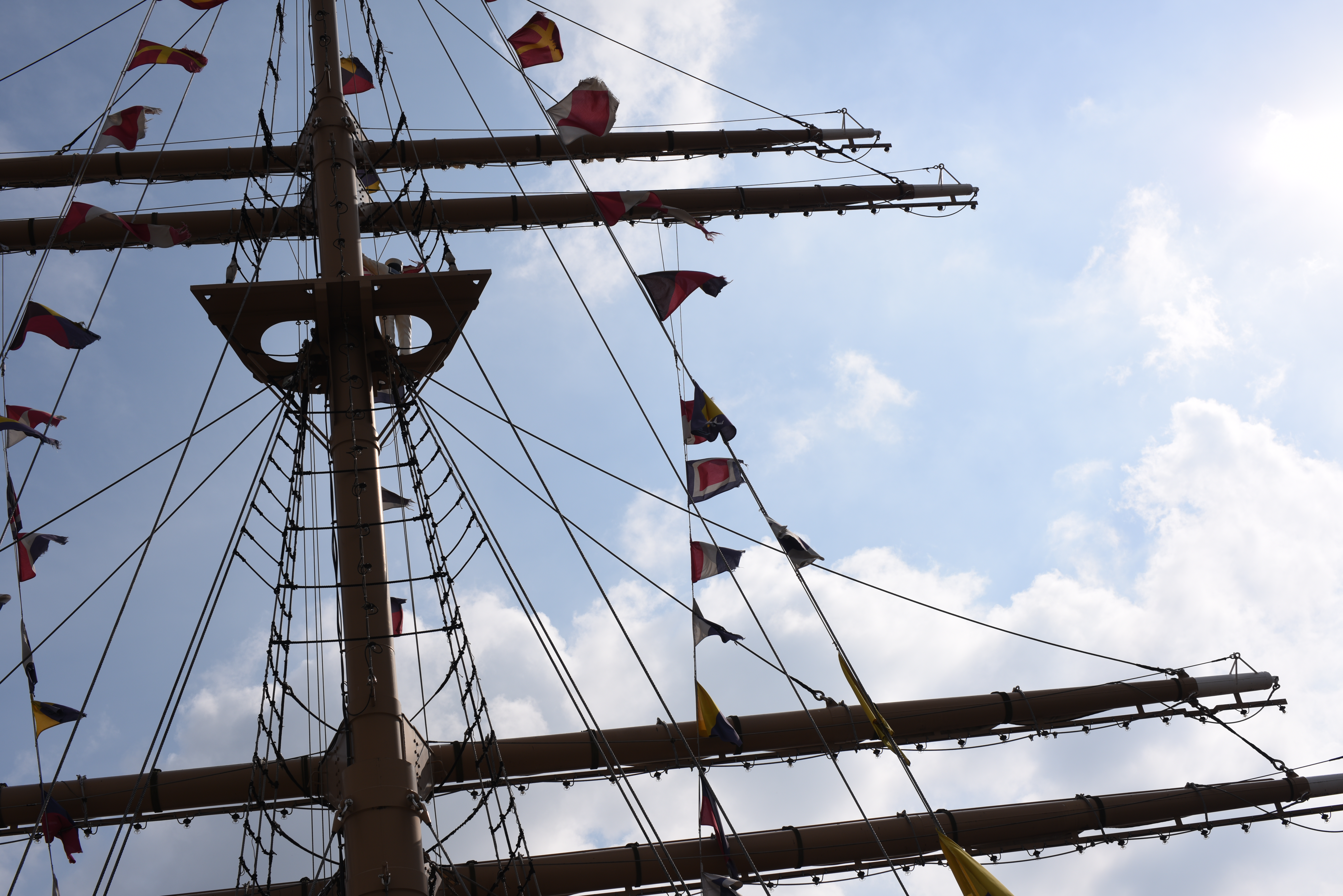 太陽が画面外にある逆光で撮影。D810 / 1/640秒 / F8 / -0.3EV / ISO64 / 絞り優先AE / 45mm