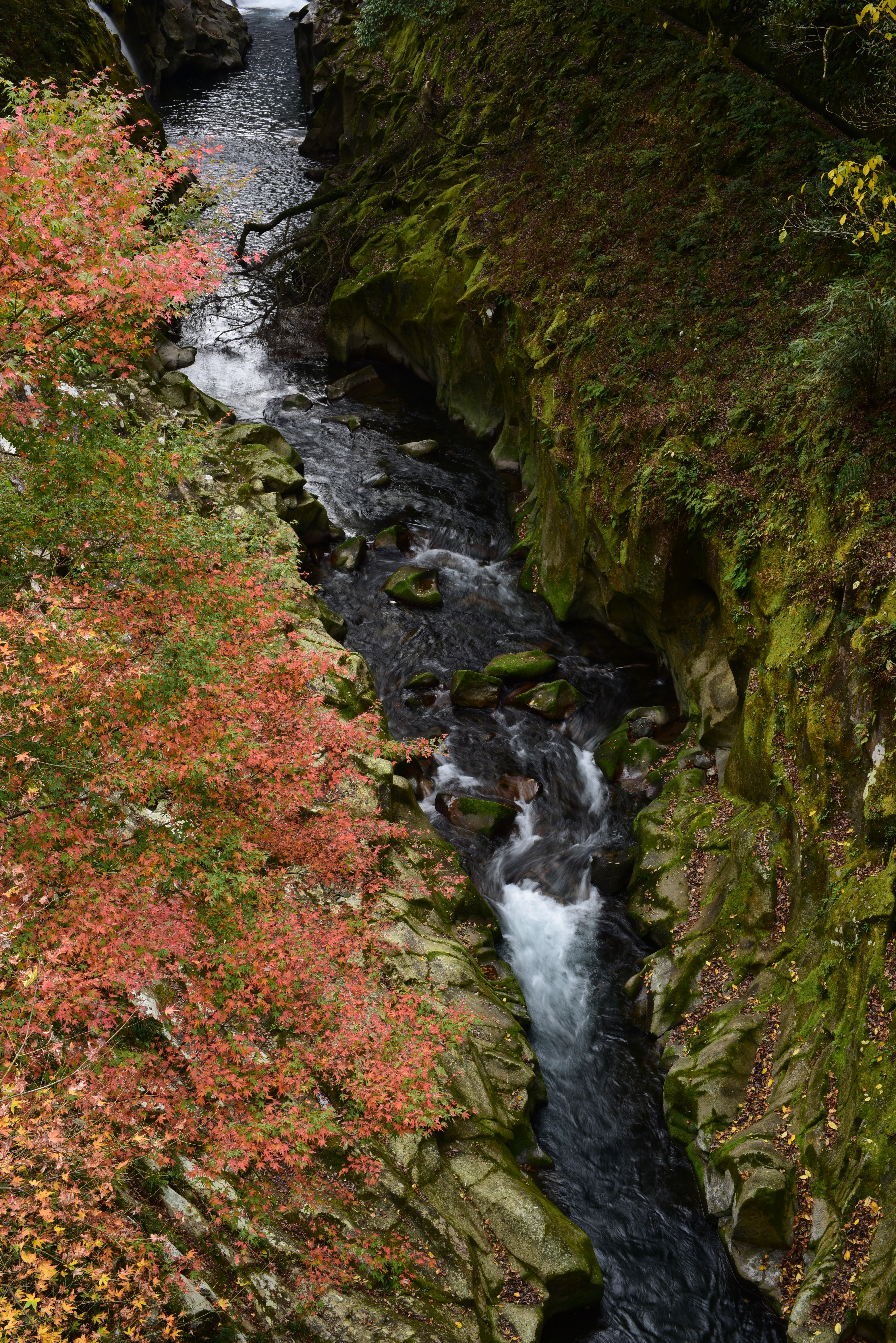 D810 / 1/6秒 / F16 / -0.3EV / ISO64 / 絞り優先AE / 45mm